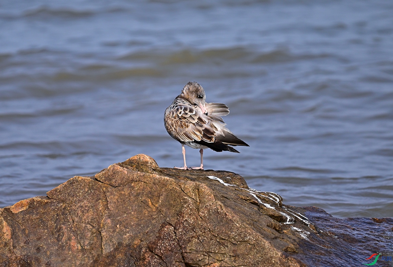_DSC6451f.jpg