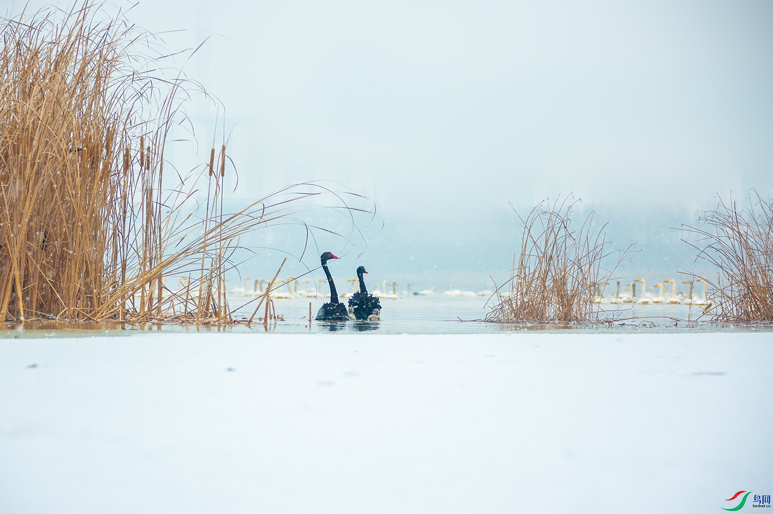 _95A7927.jpg