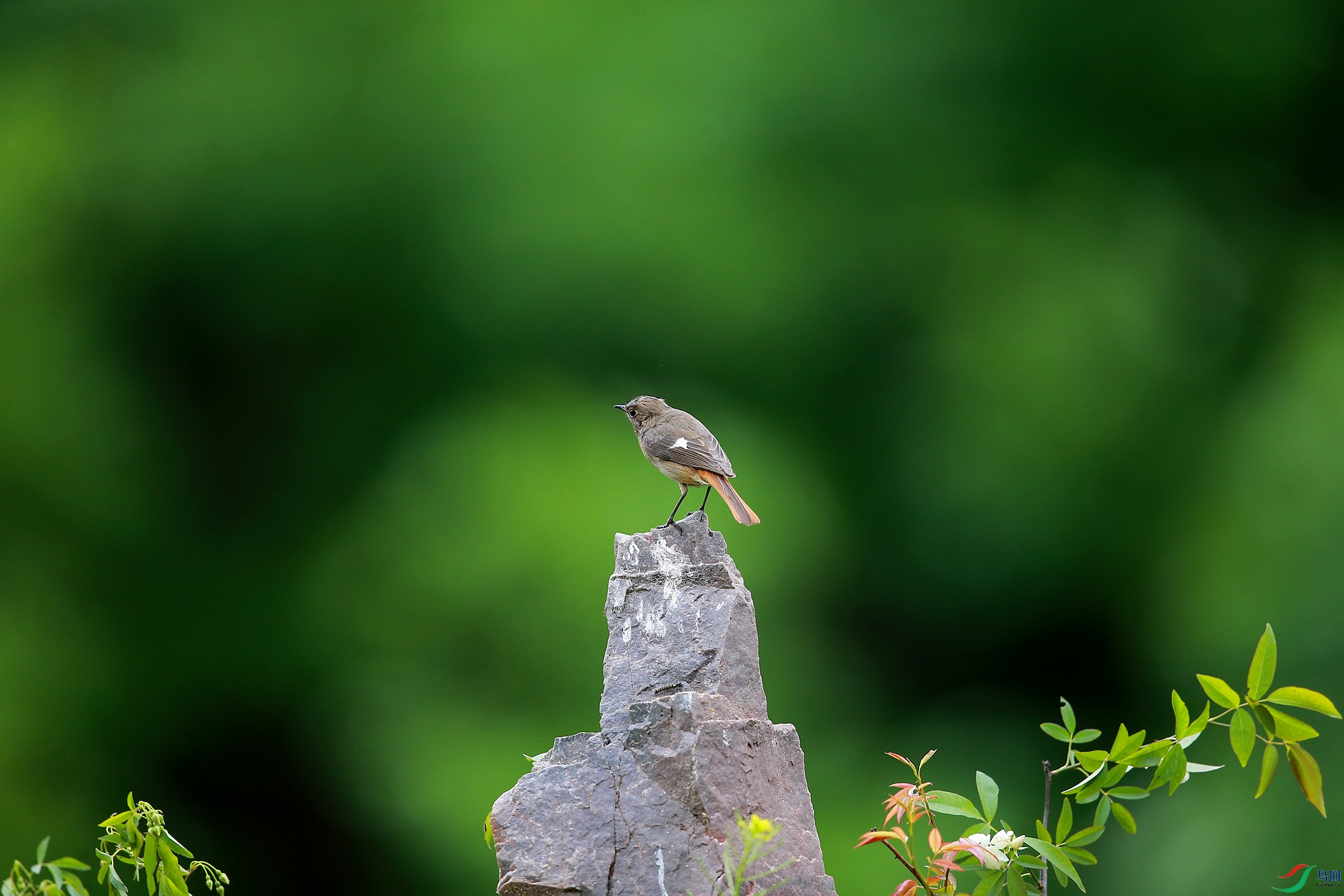 AY8Q1536_����.jpg
