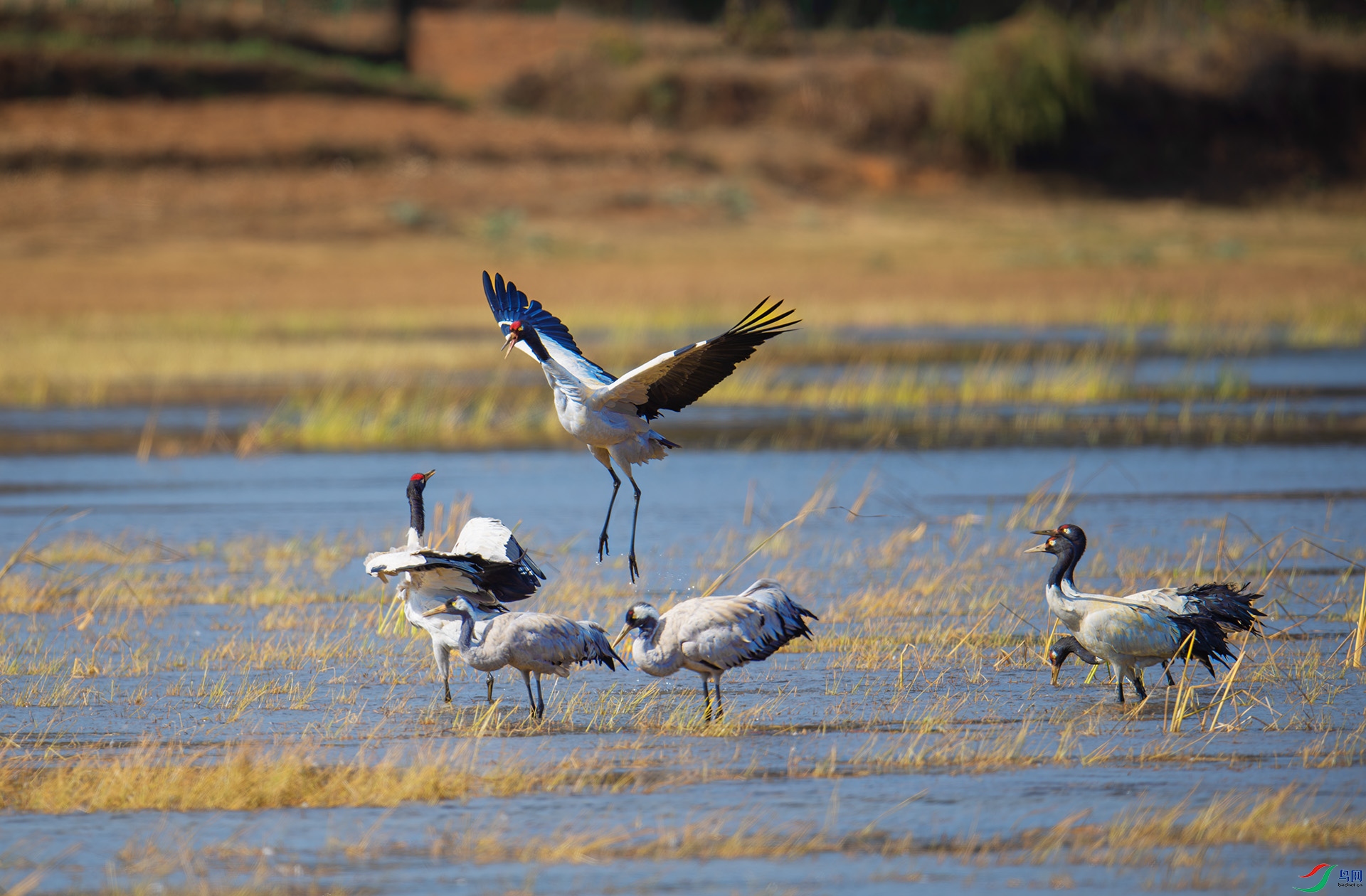 DSC_0144-1.jpg