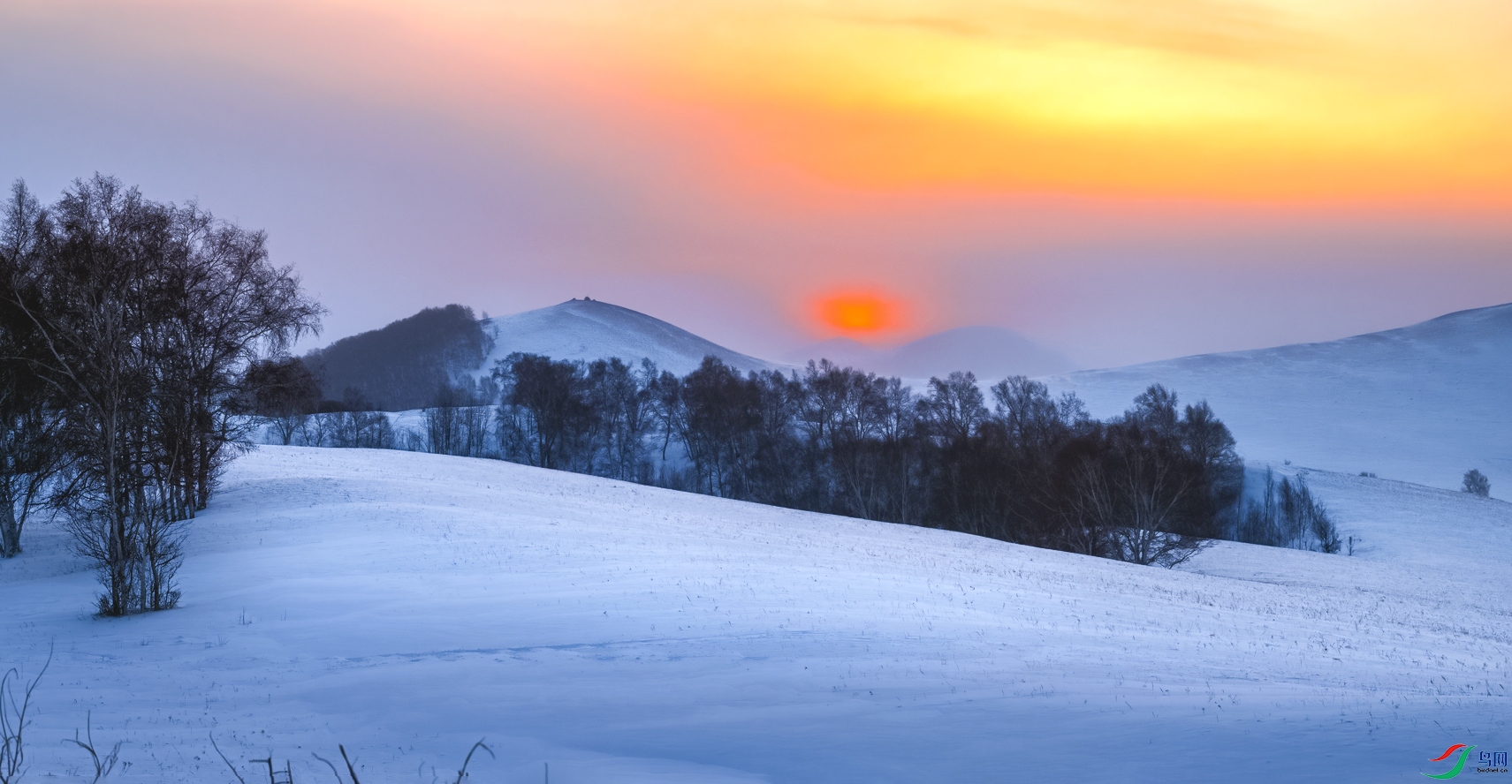 _DSC2564==1w.jpg