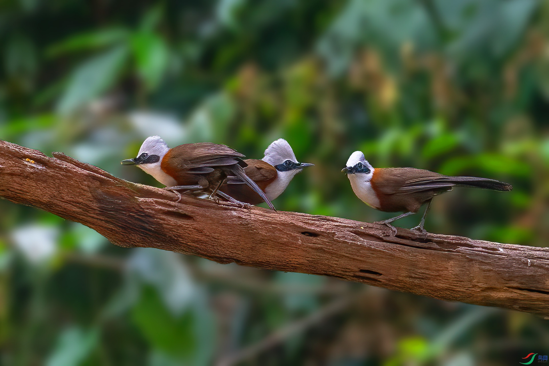 DSC_2579.jpg