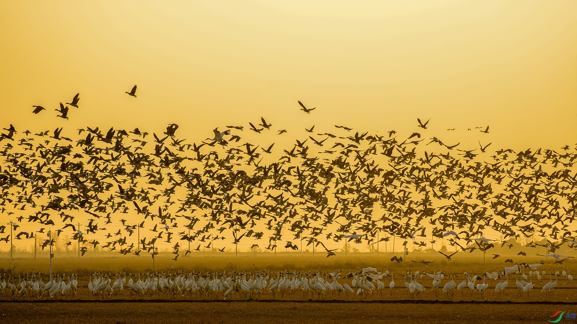 �����裬�������ã�