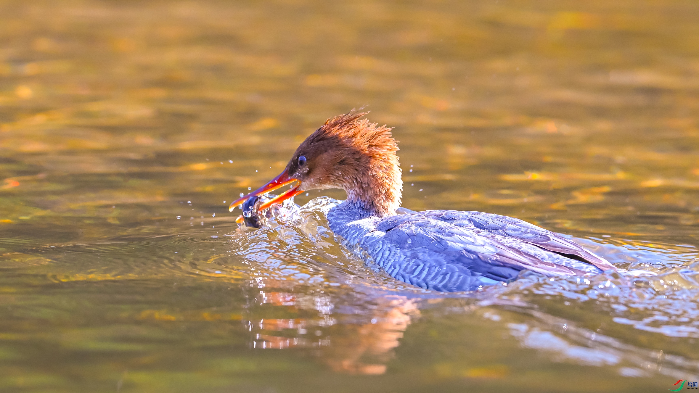 0223 ����.jpg