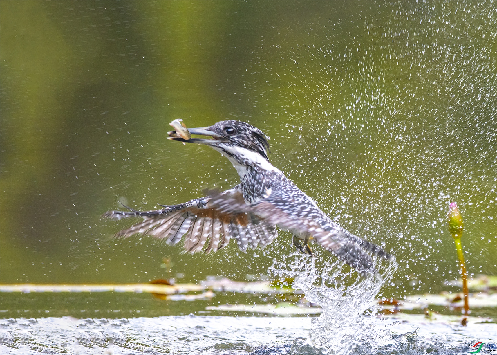 9399 ����.jpg