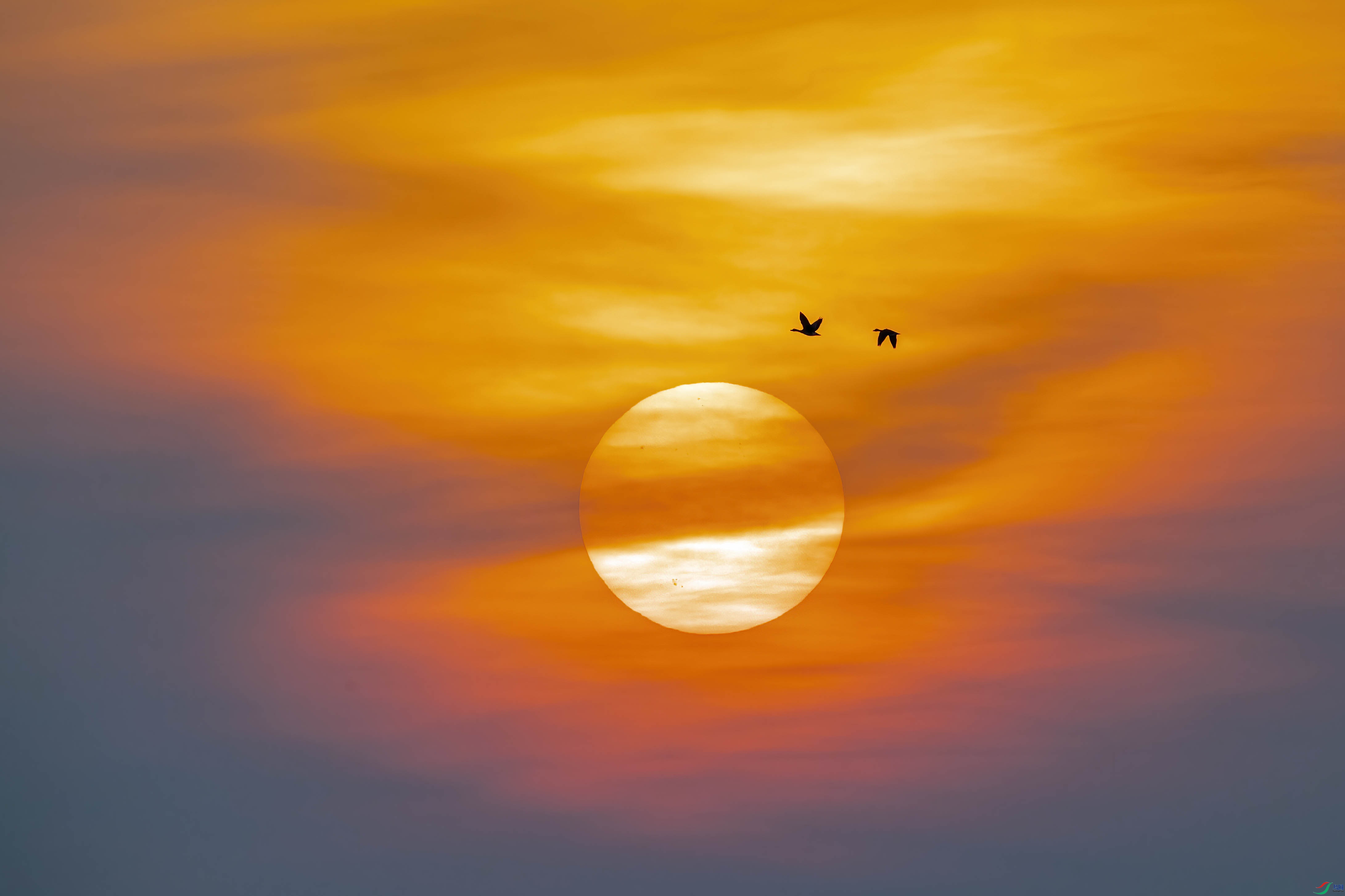 DSC_4118 ����.jpg