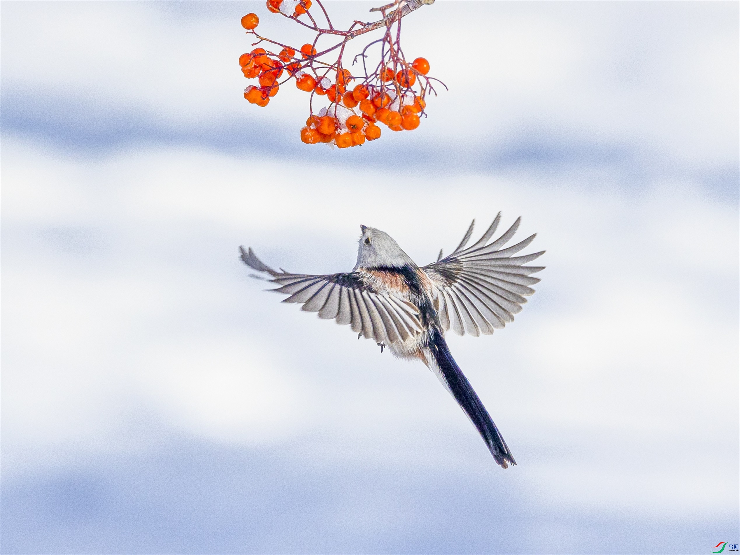 1K3A9205 ����1.jpg