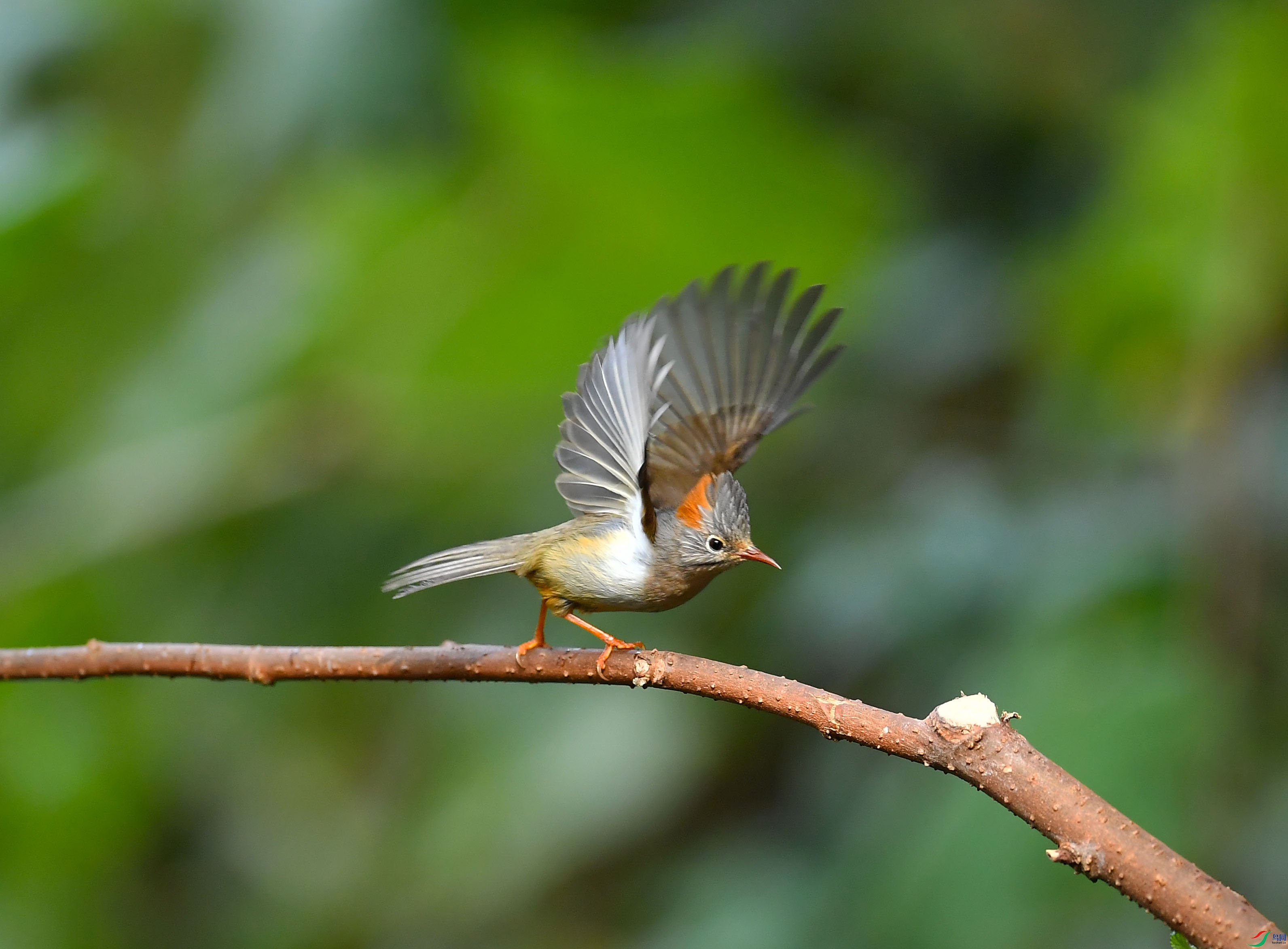 DSC_57350.jpg