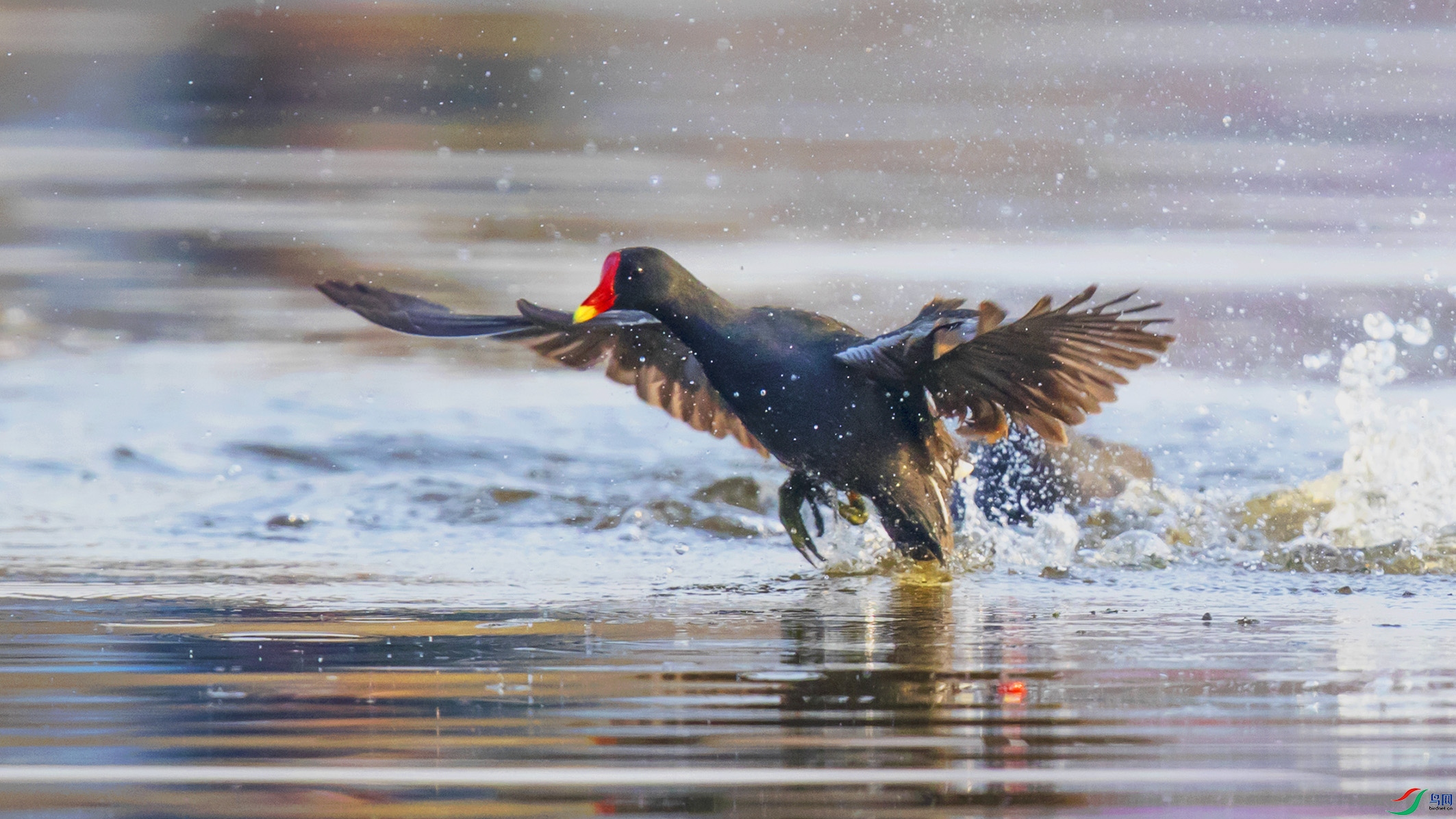 _90I3871 ����.jpg