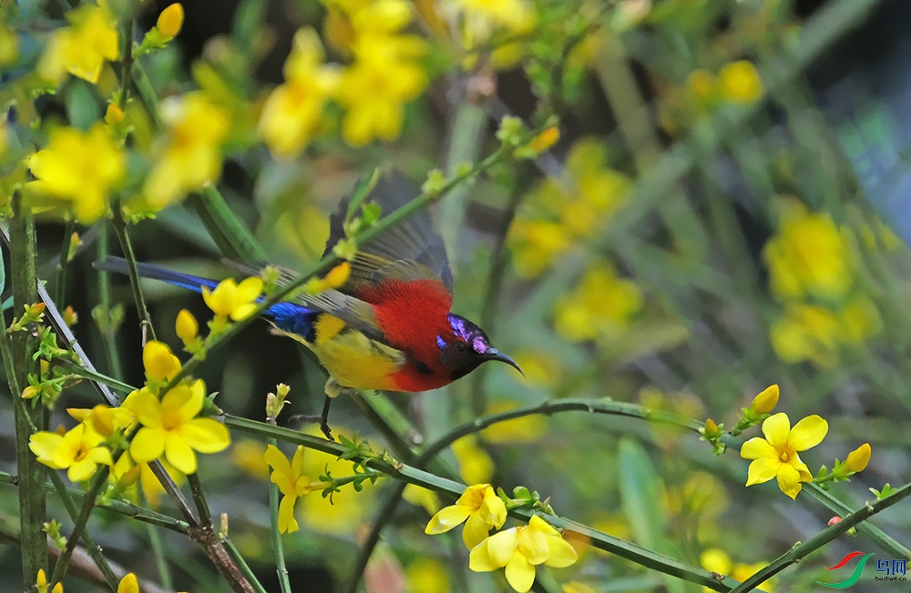 DSCF2103.1.jpg
