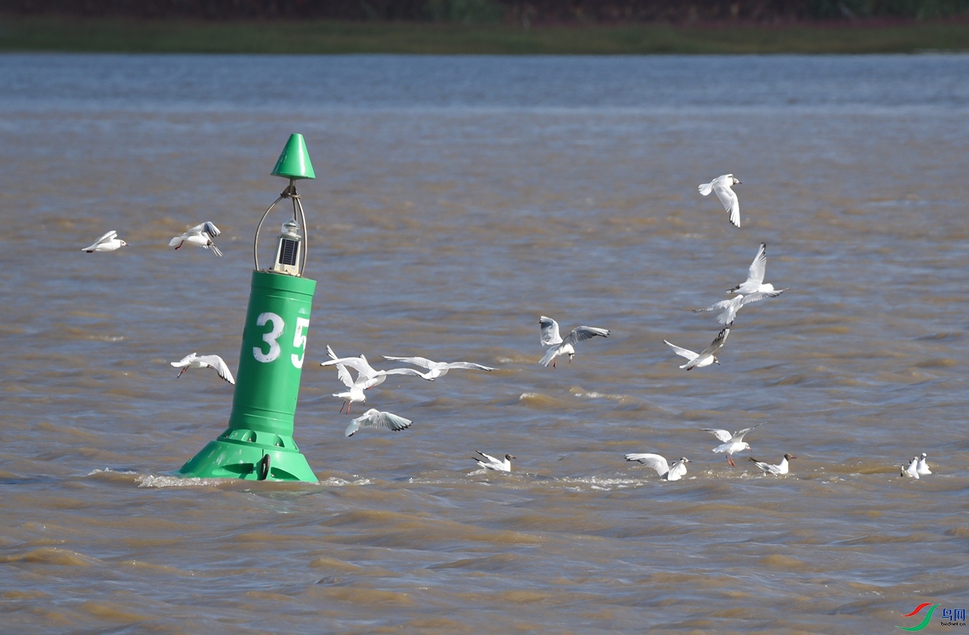 DSC_5783f.jpg