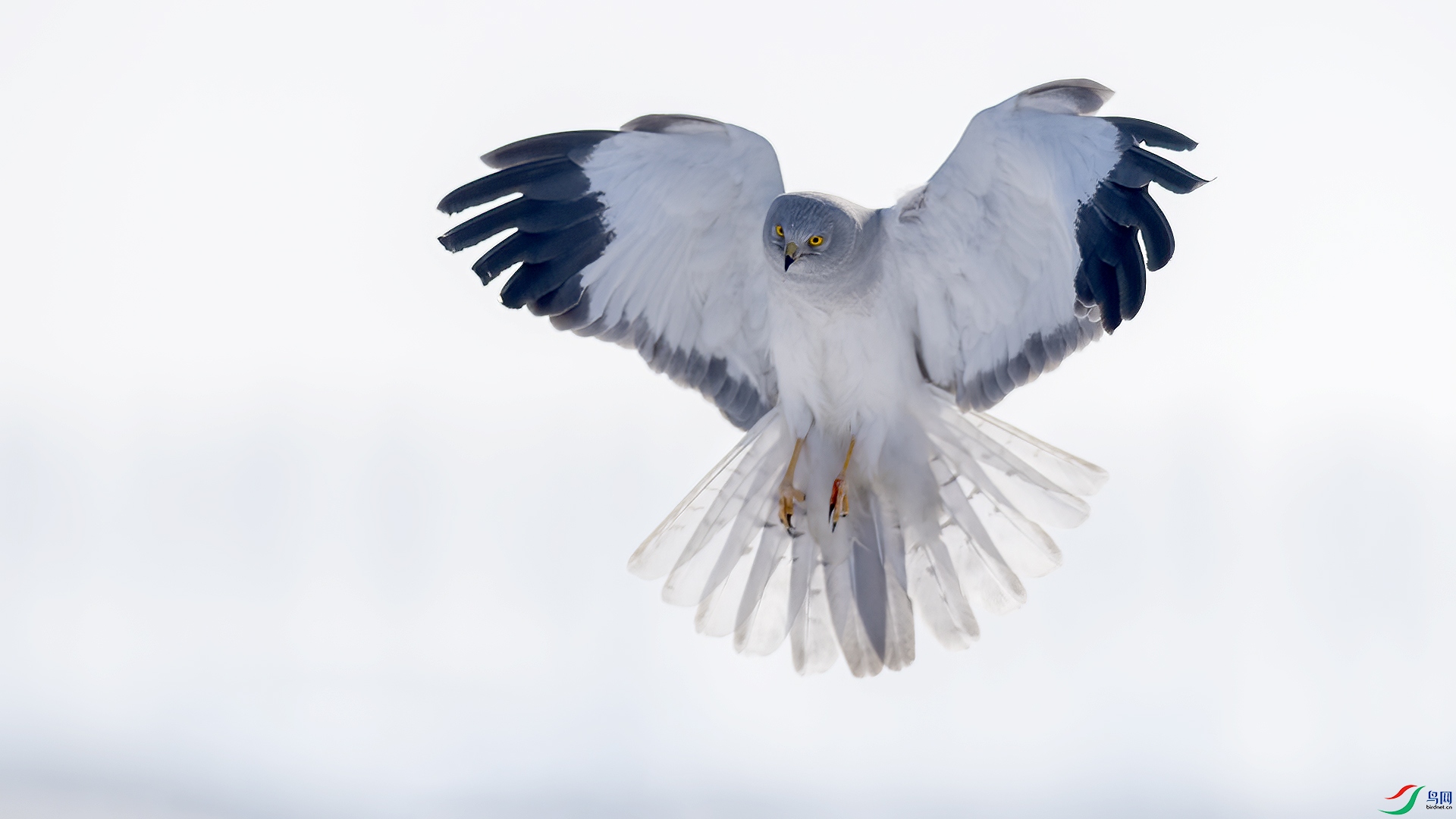 DSC_6n838.jpg