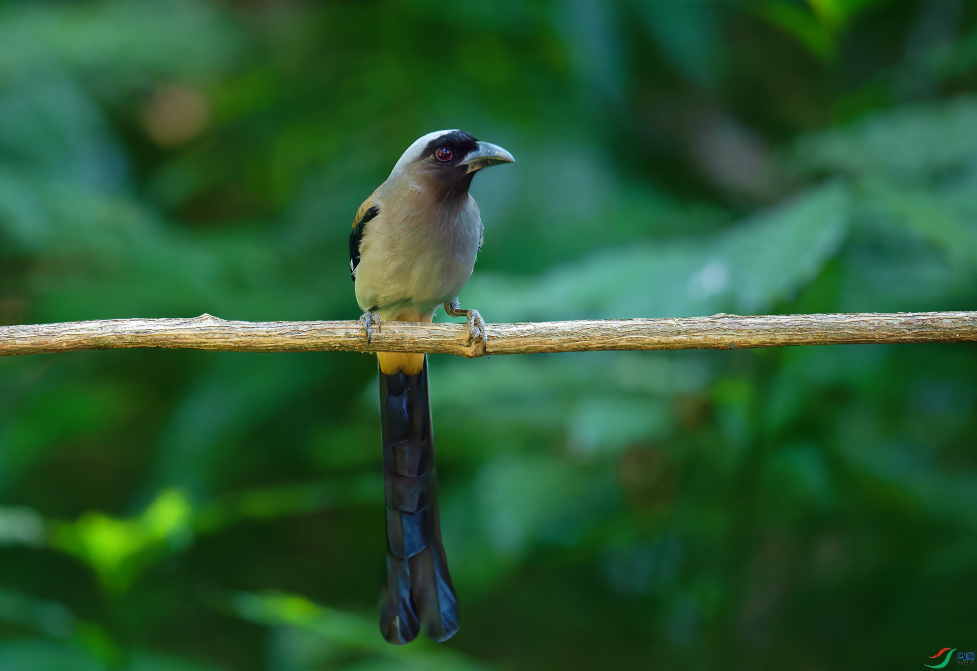 DSC_4297-1.jpg