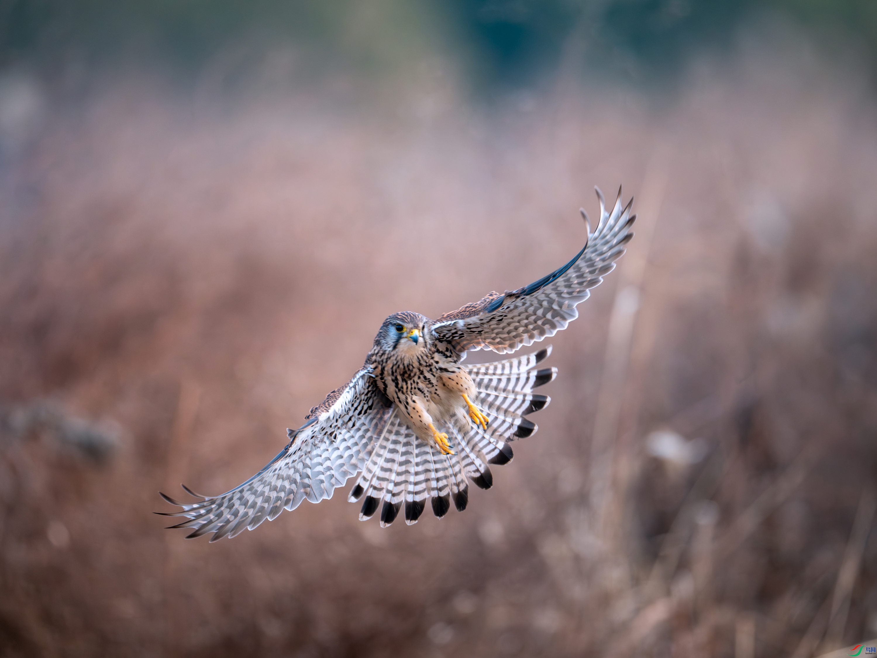 _DSC4235-����ǿ-NR_070243_polarr.jpeg