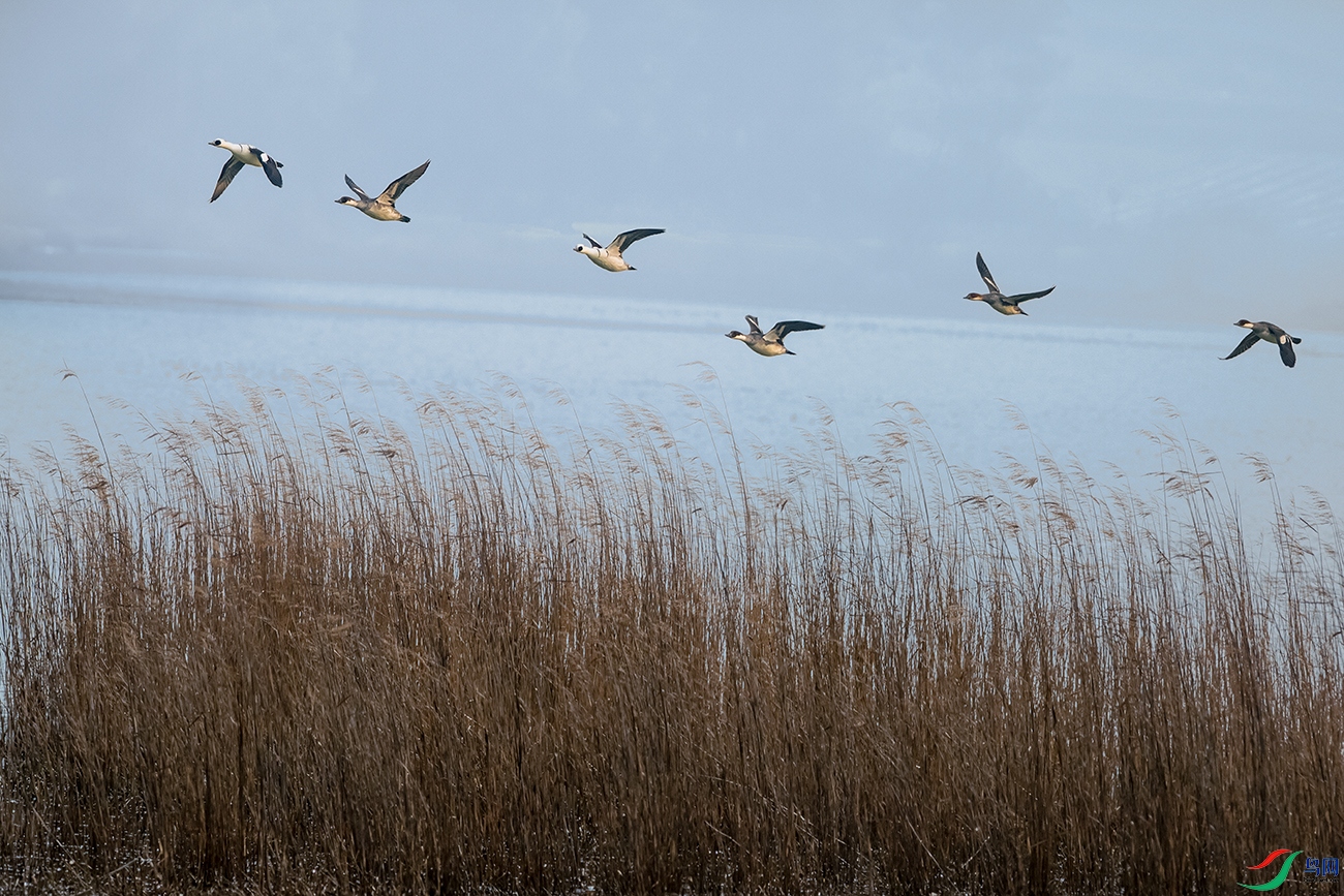 ��èѼ----«��ӭ�ѱ�