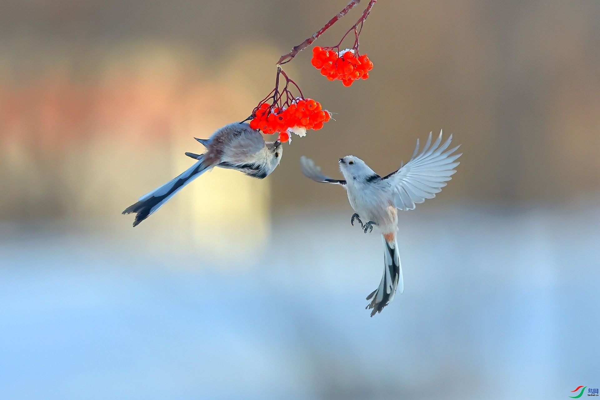 ����βɽȸ ���� 8341  ��һ.jpg