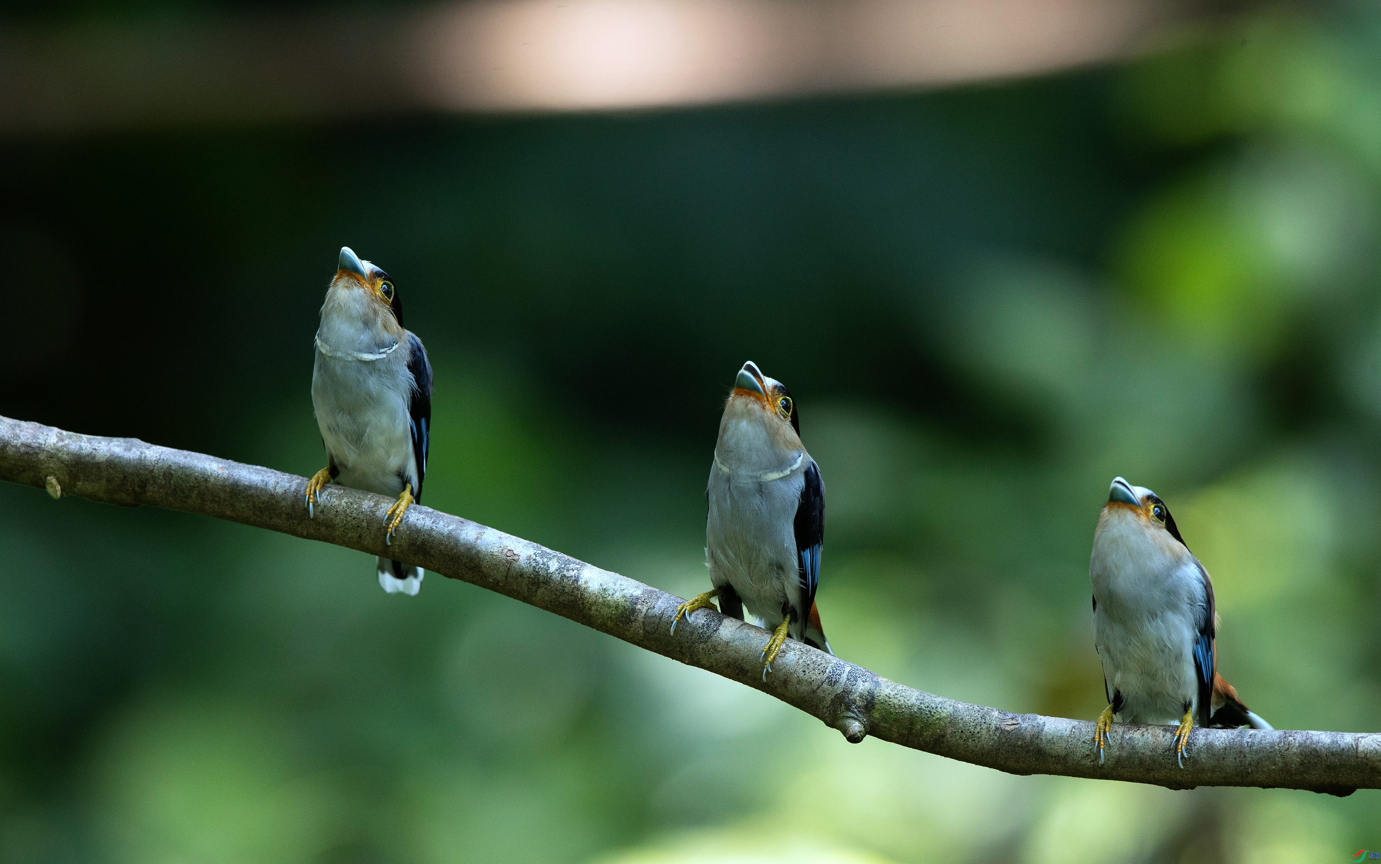 ���� ���� ��Ƭ��� ��һ.jpg