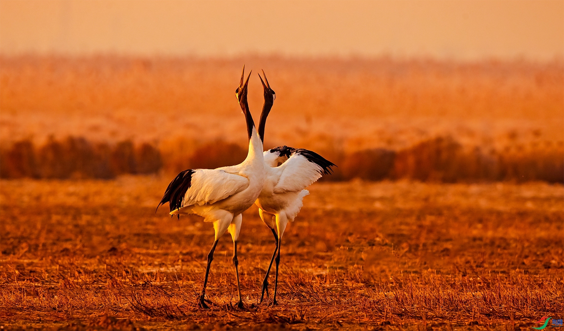 ����Ϧ�� ���� ������� �ܶ�.jpg