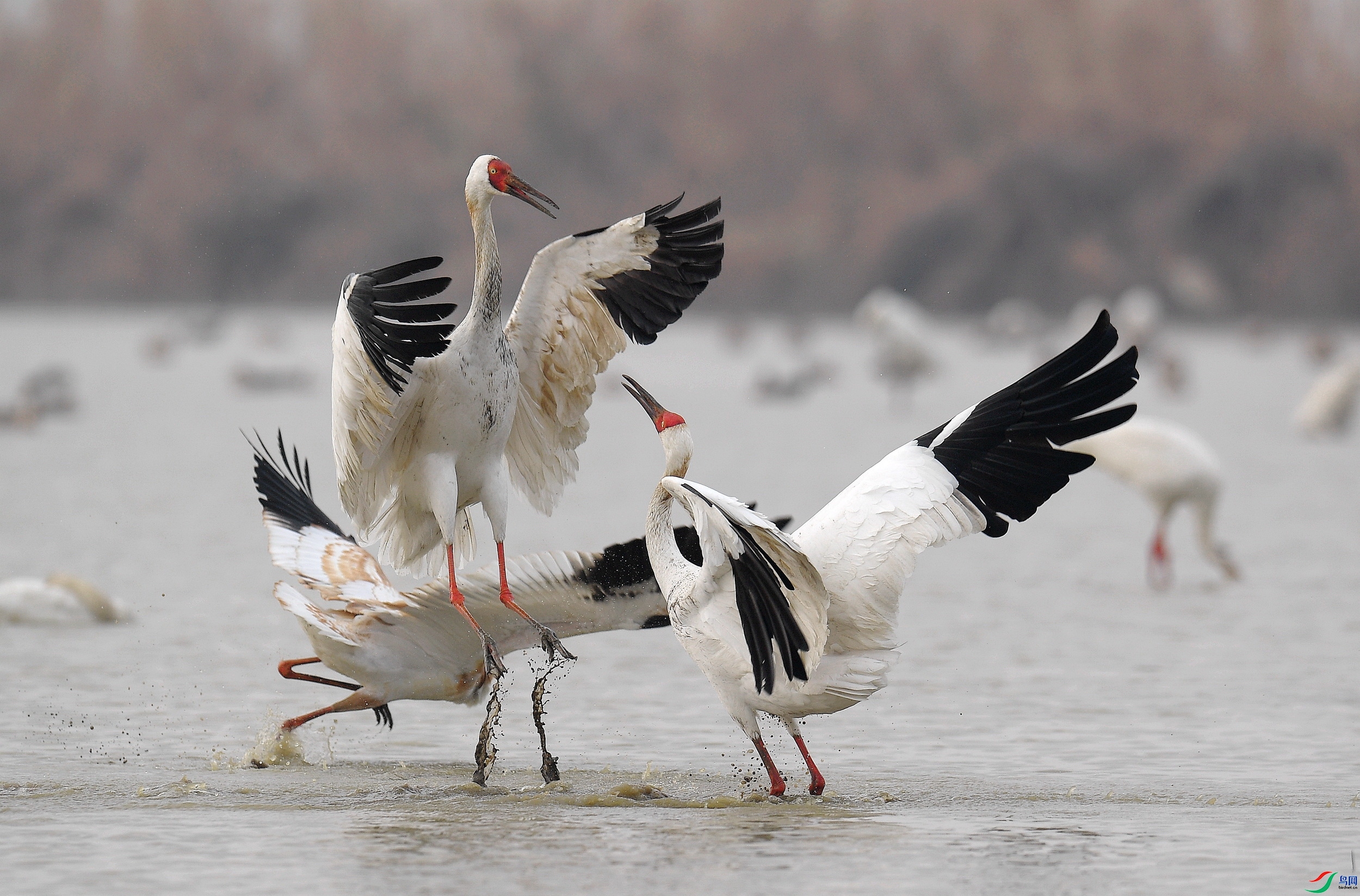 ���ϼ���������  ���� ����뻳 ����.jpg