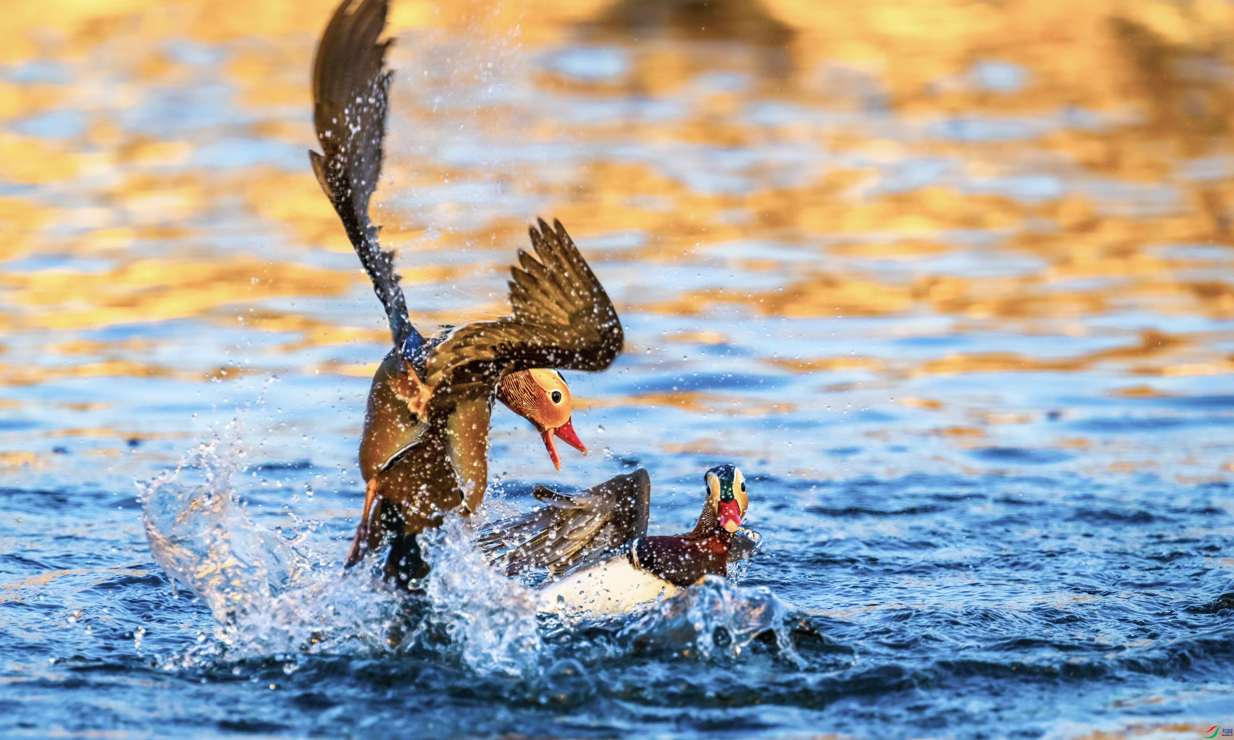 ��ս��Ԩ̶ ���� ��������bj  ����.jpg