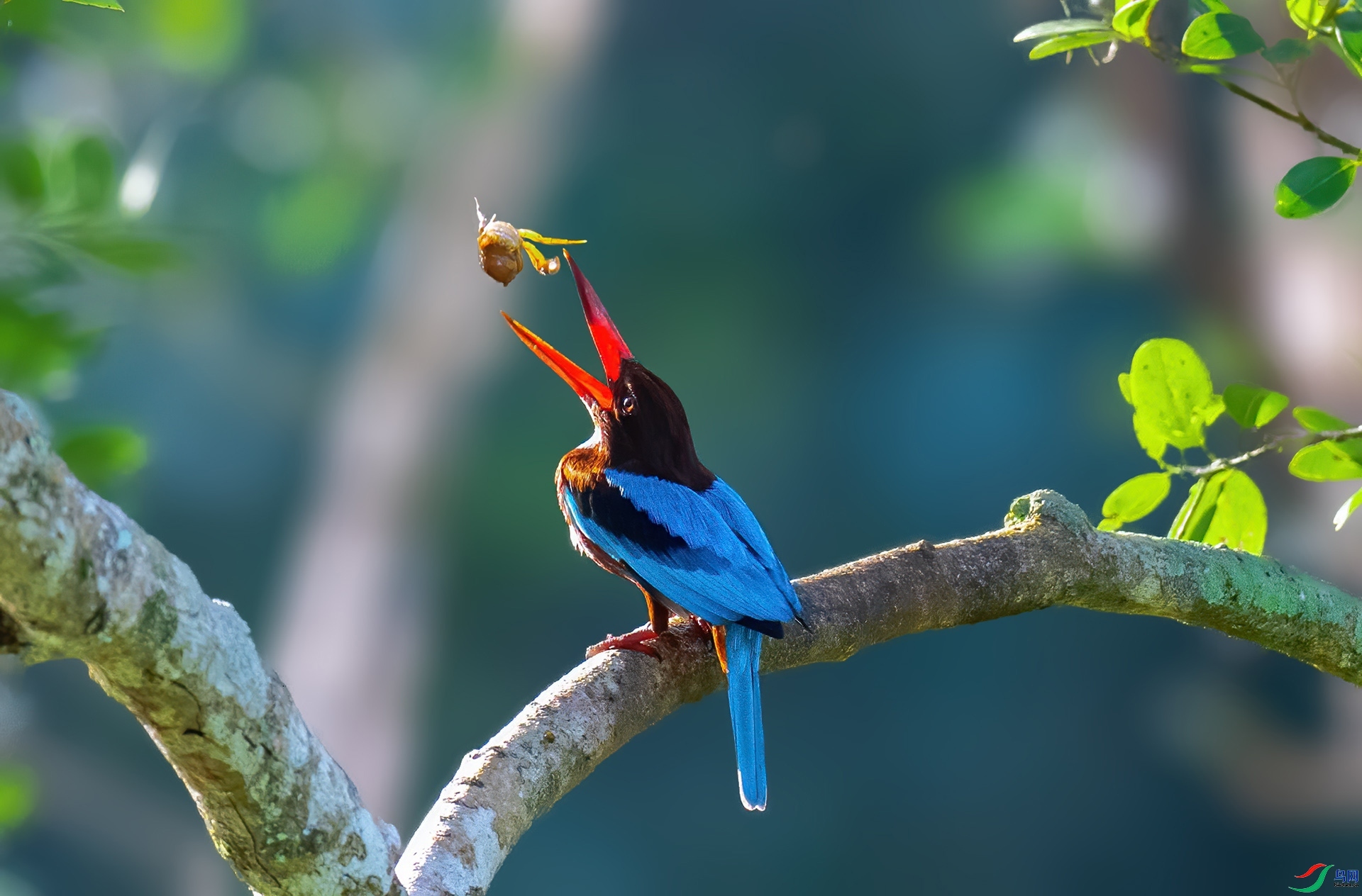 Ϸз  ���� �������� ����.jpg