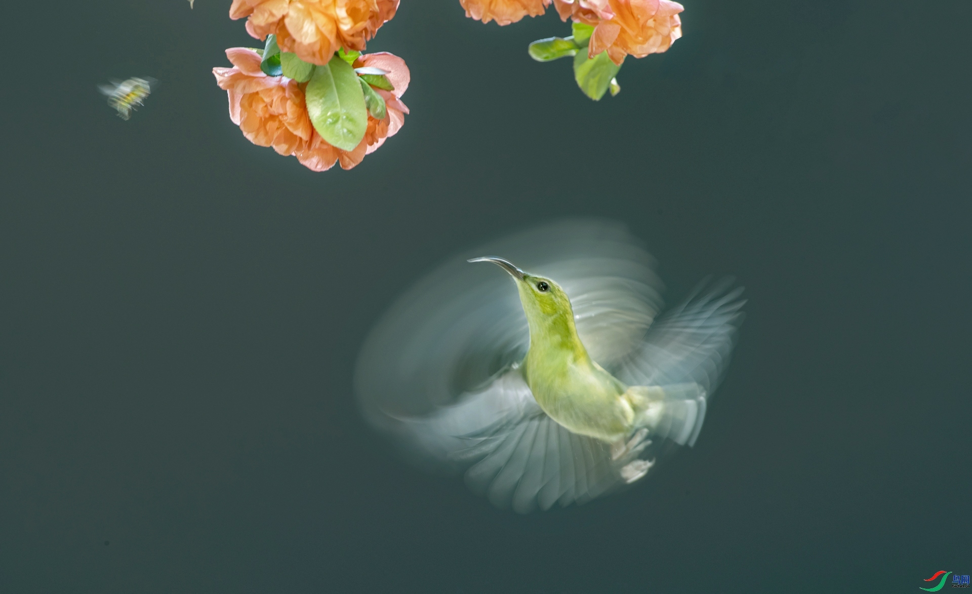 ��β̫���� ���� ����  ����.jpg