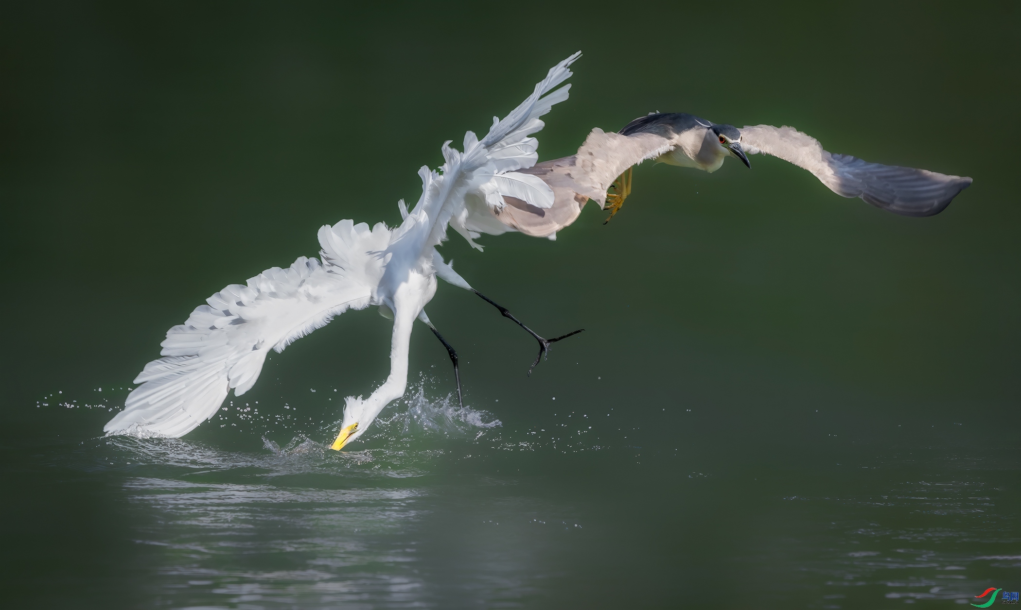 ����  ���� ����Ӱ  ����.jpg