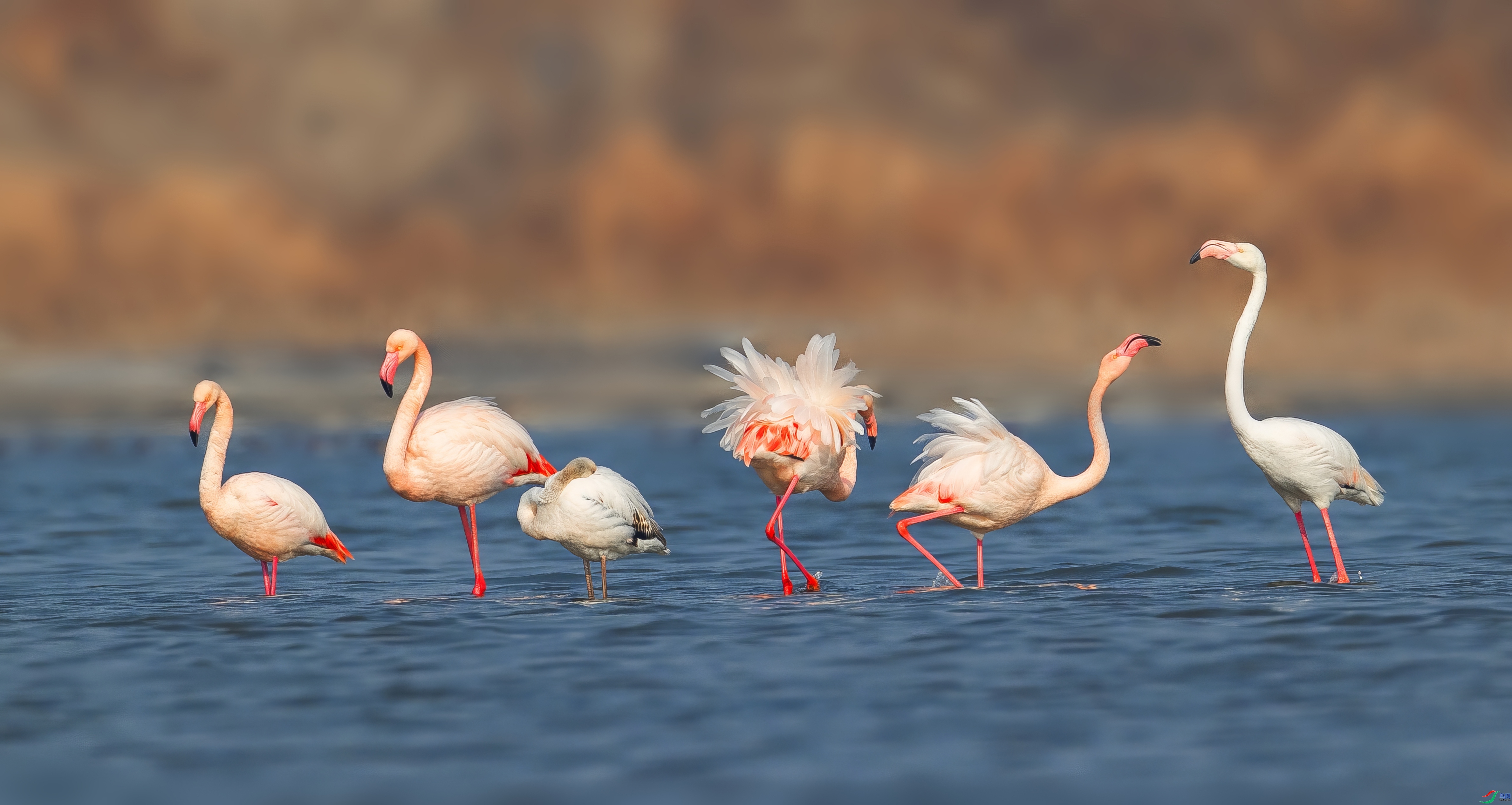 �����������꡷  ���� �ܷ� ����.jpeg