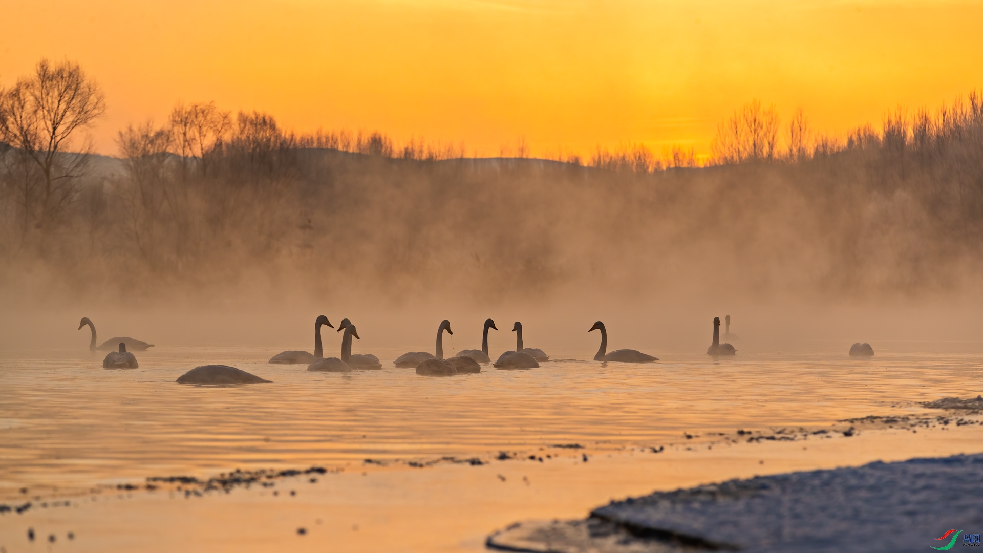 A40I6136-1��.jpg