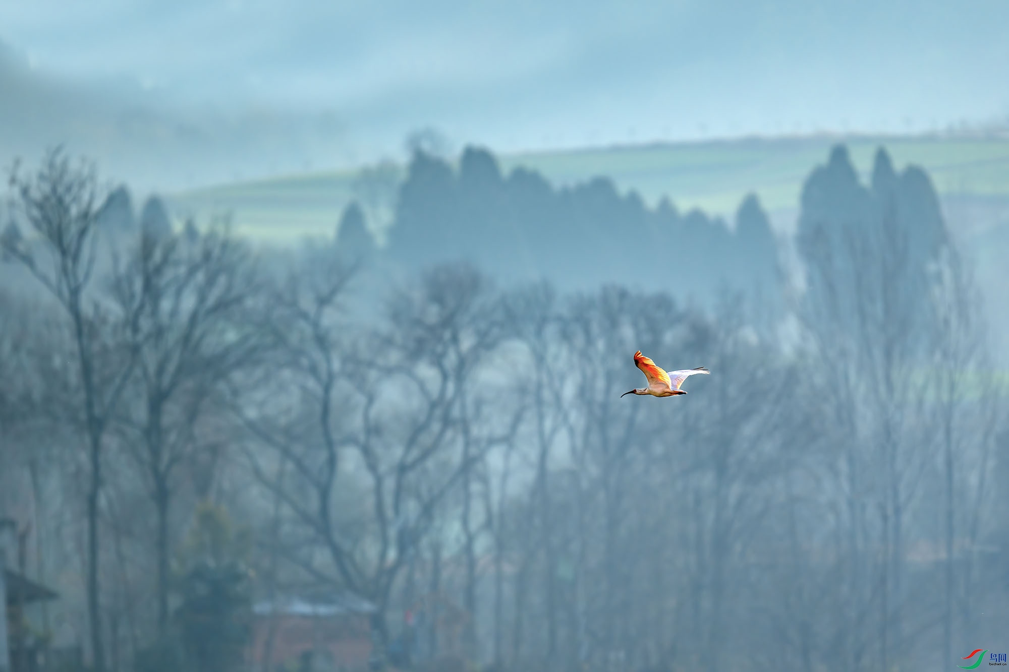 DSC_2369-����ǿ-SR С 2.jpg