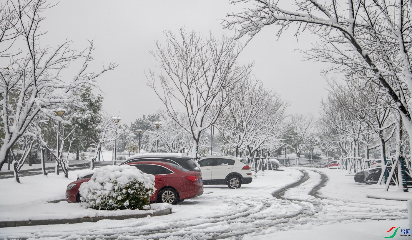 DSC_9177.jpg