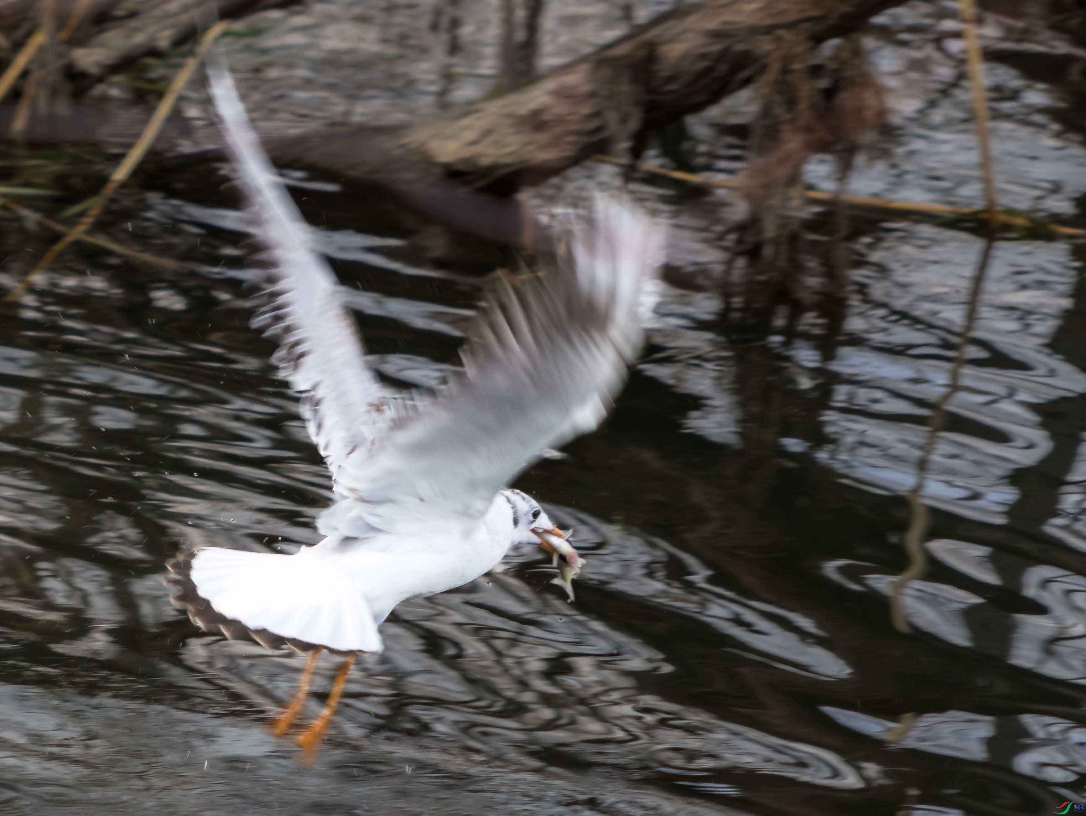 DSC05013 ���� 2.jpg