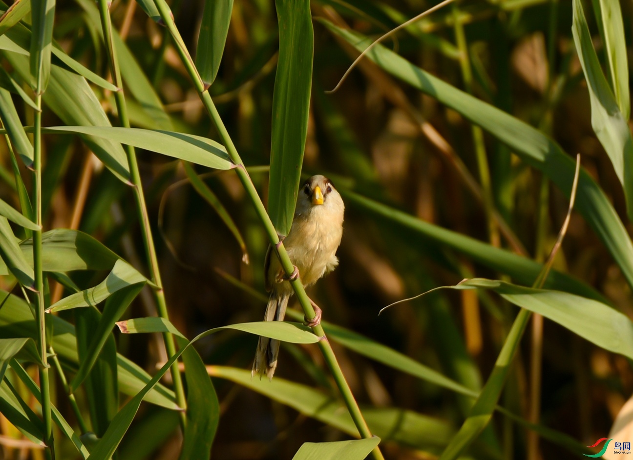DSC_6330ע��.jpg
