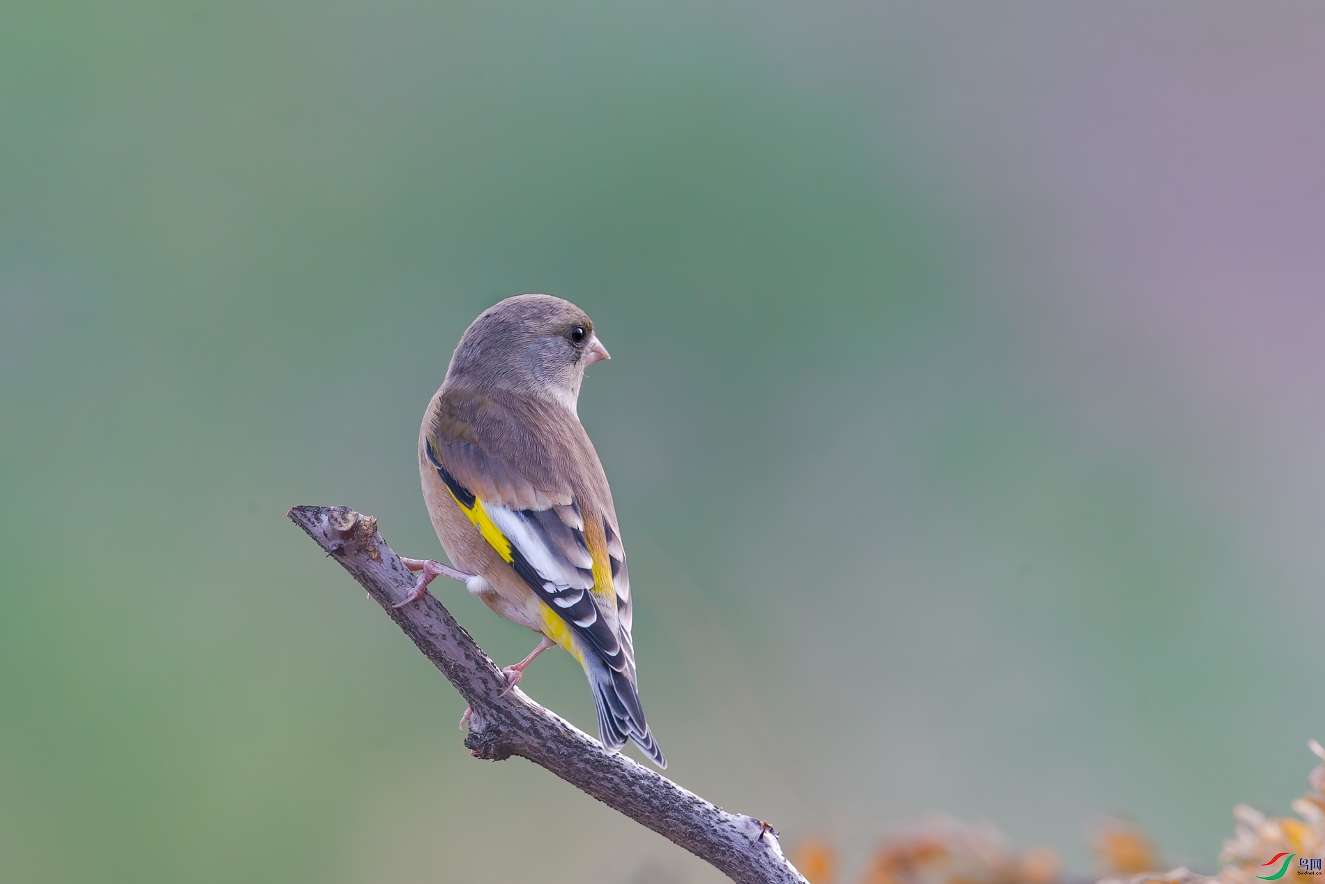 AQ4P0416-1.jpg