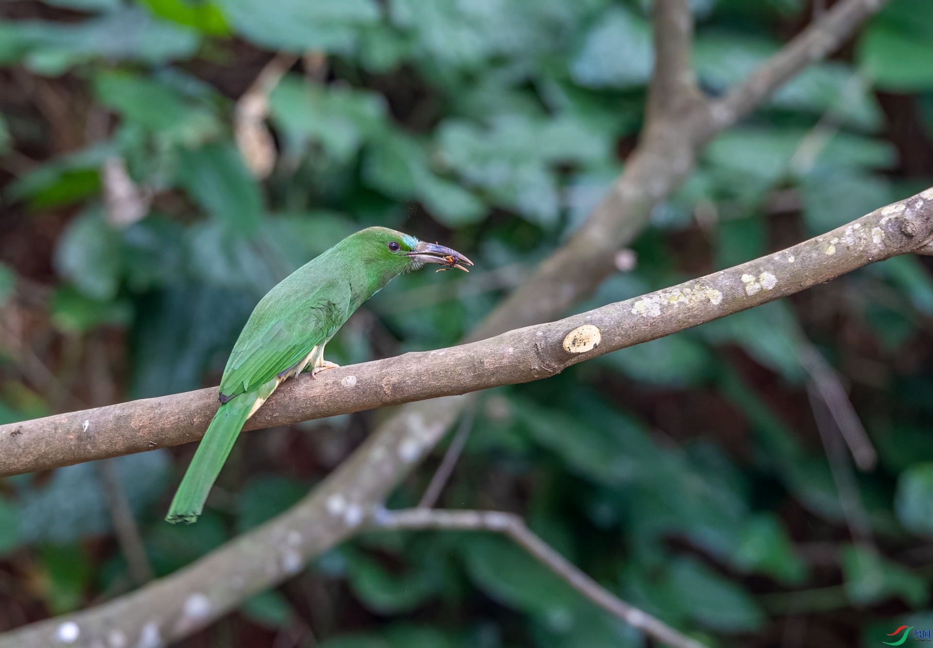 DSC_9942_����.jpg