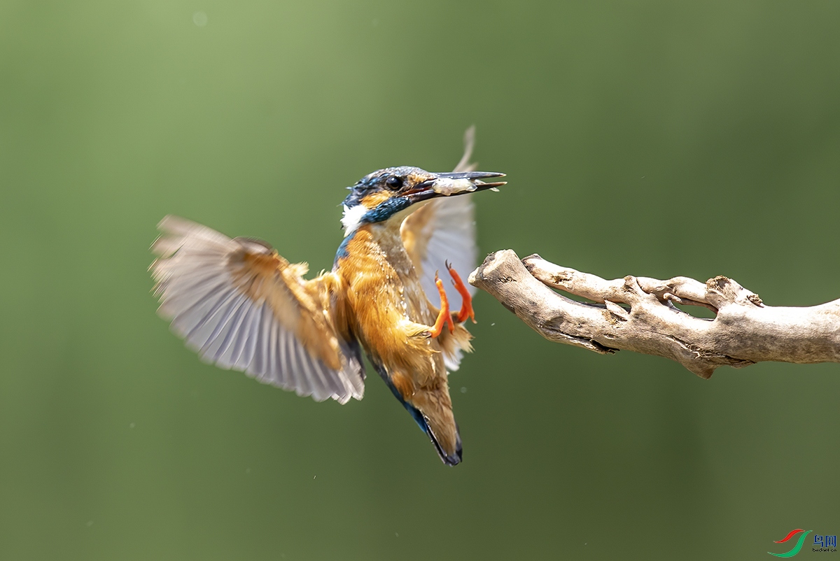 AC3I7620w ����.jpg