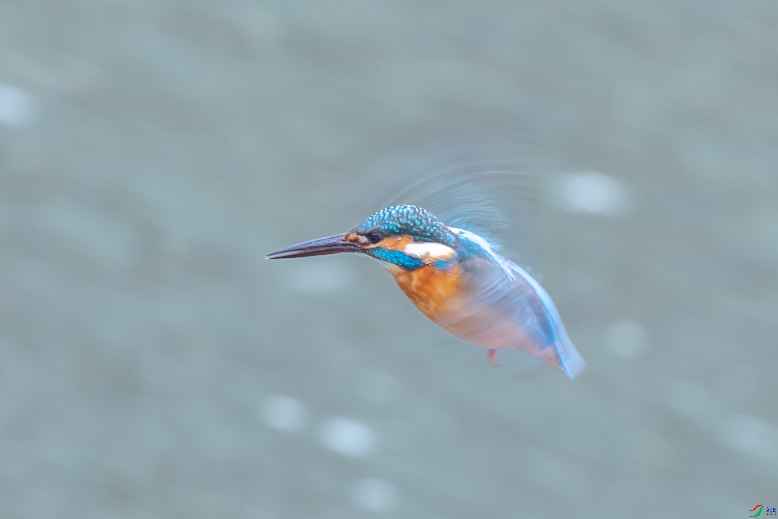 _16A7713.jpg
