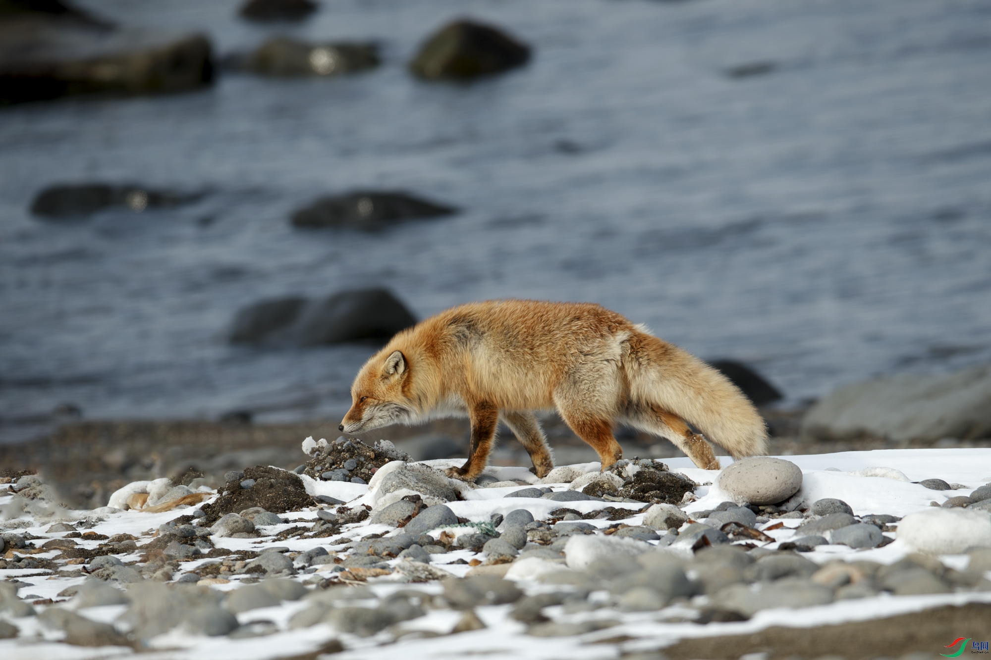 AQ9I9533-����ǿ-NR ����.jpg