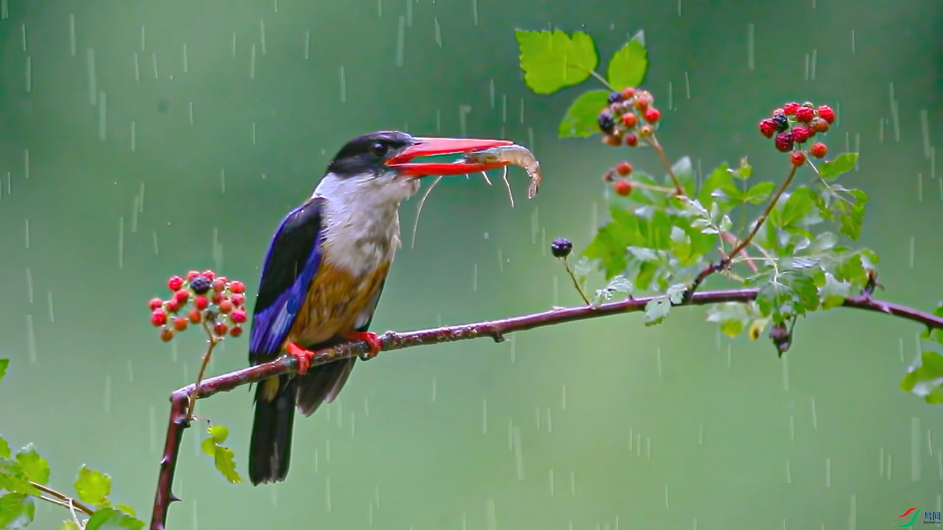 ����-�������1��25�� (1).jpg