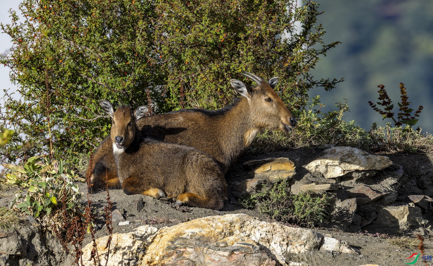 ϲ�����Ű��� (3)-1.jpg