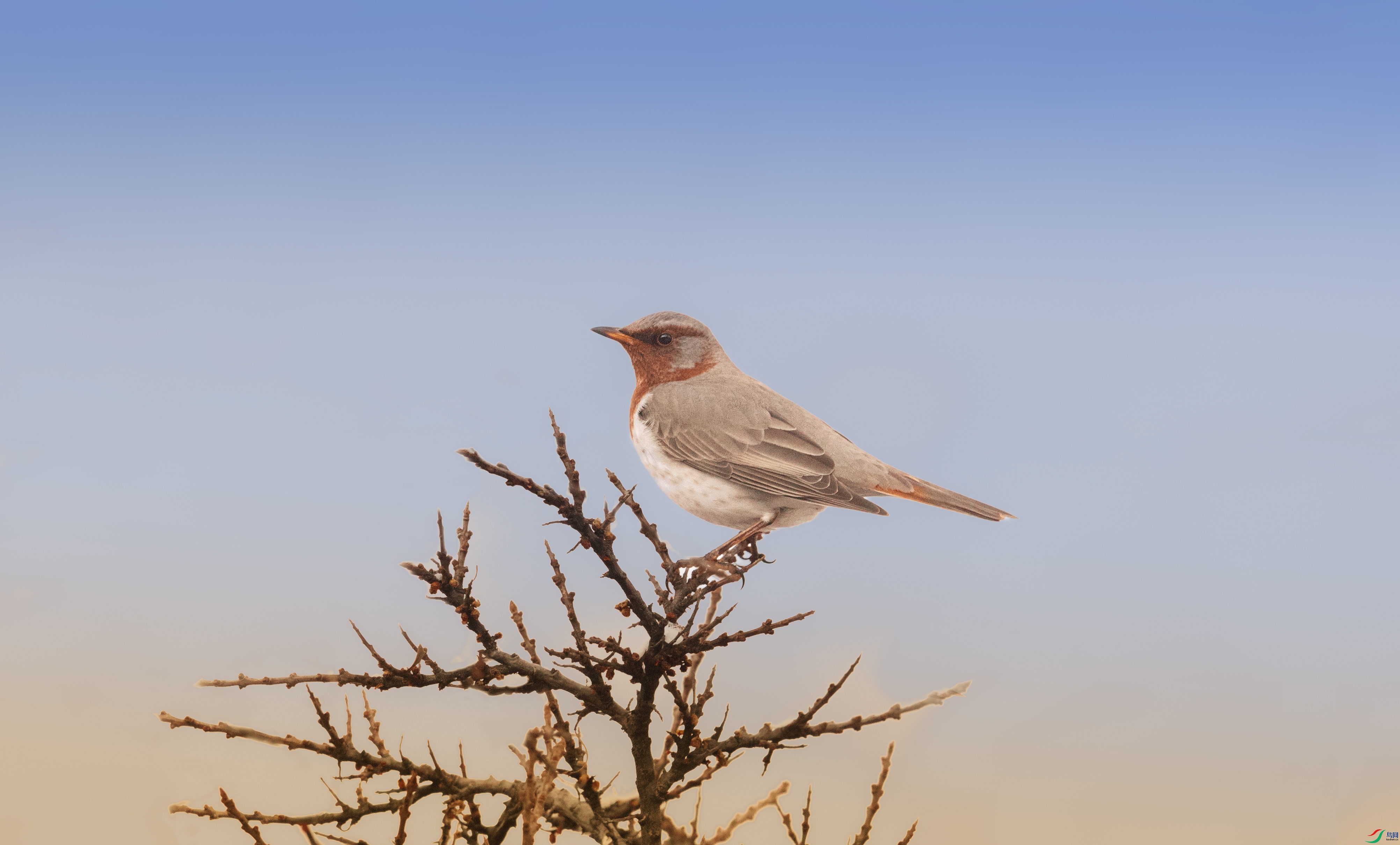 7X5A0301 - ����.jpg