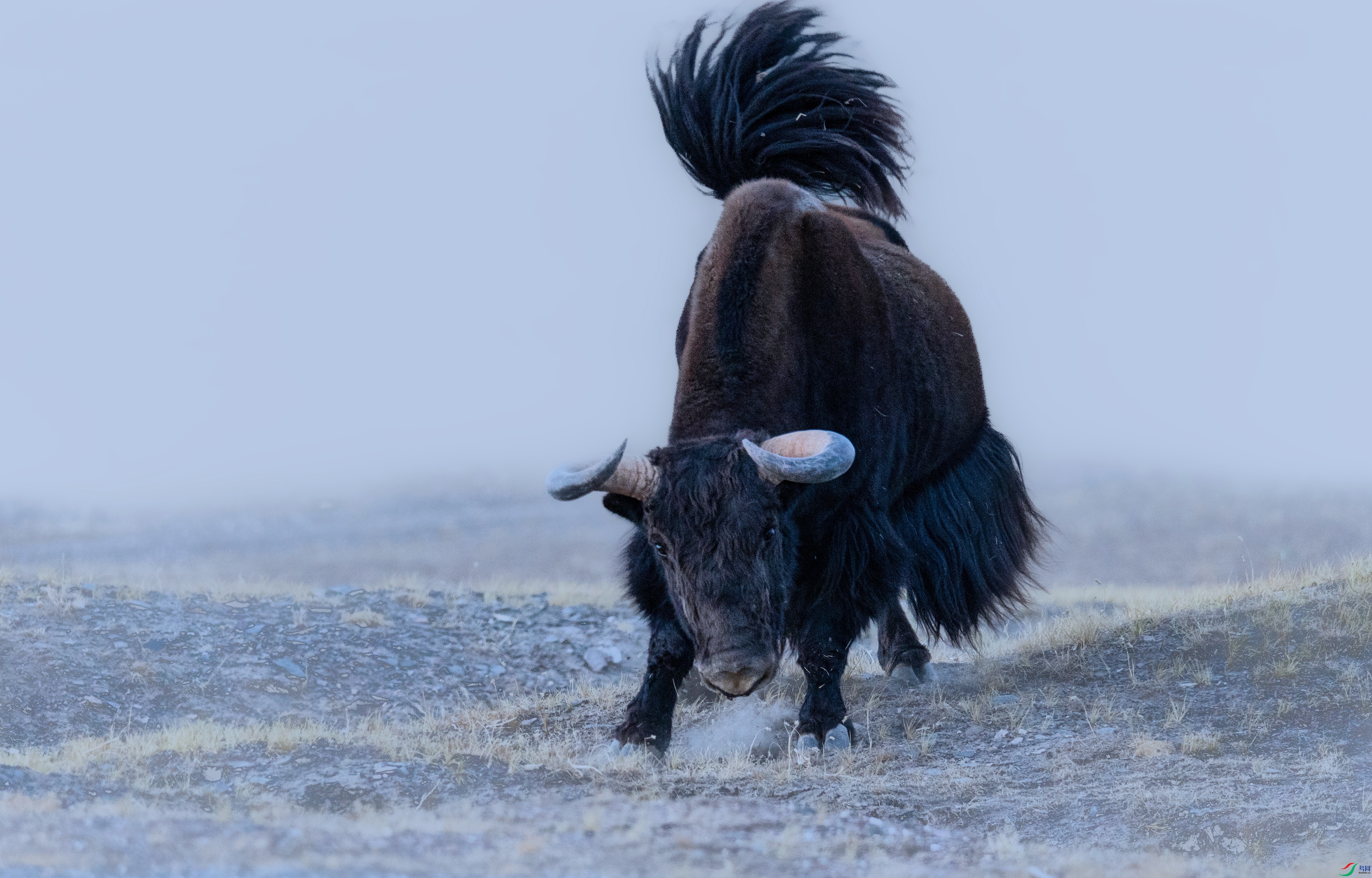 7X5A9406 - ����.jpg