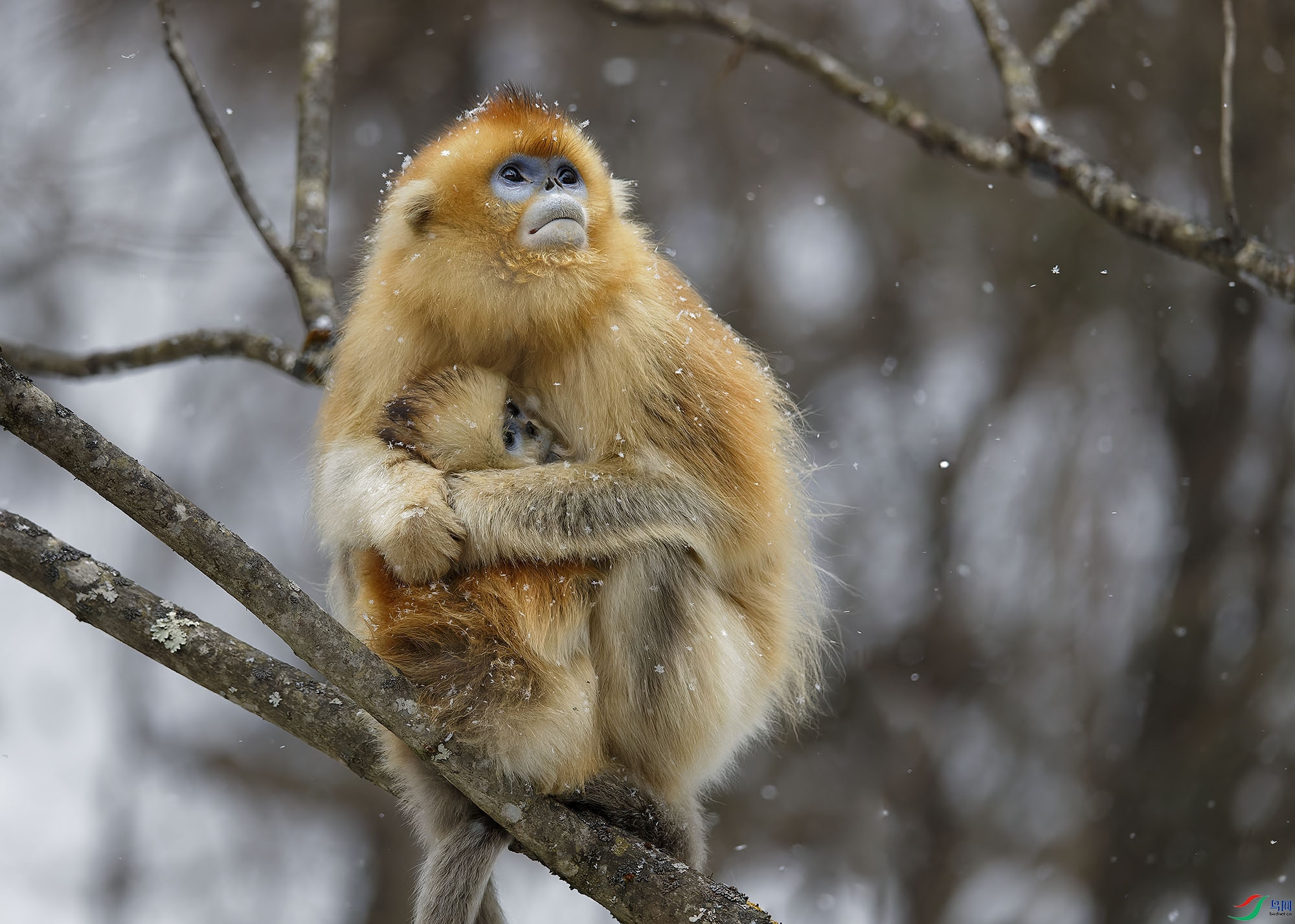 _A4I1092_DxO ����.jpg