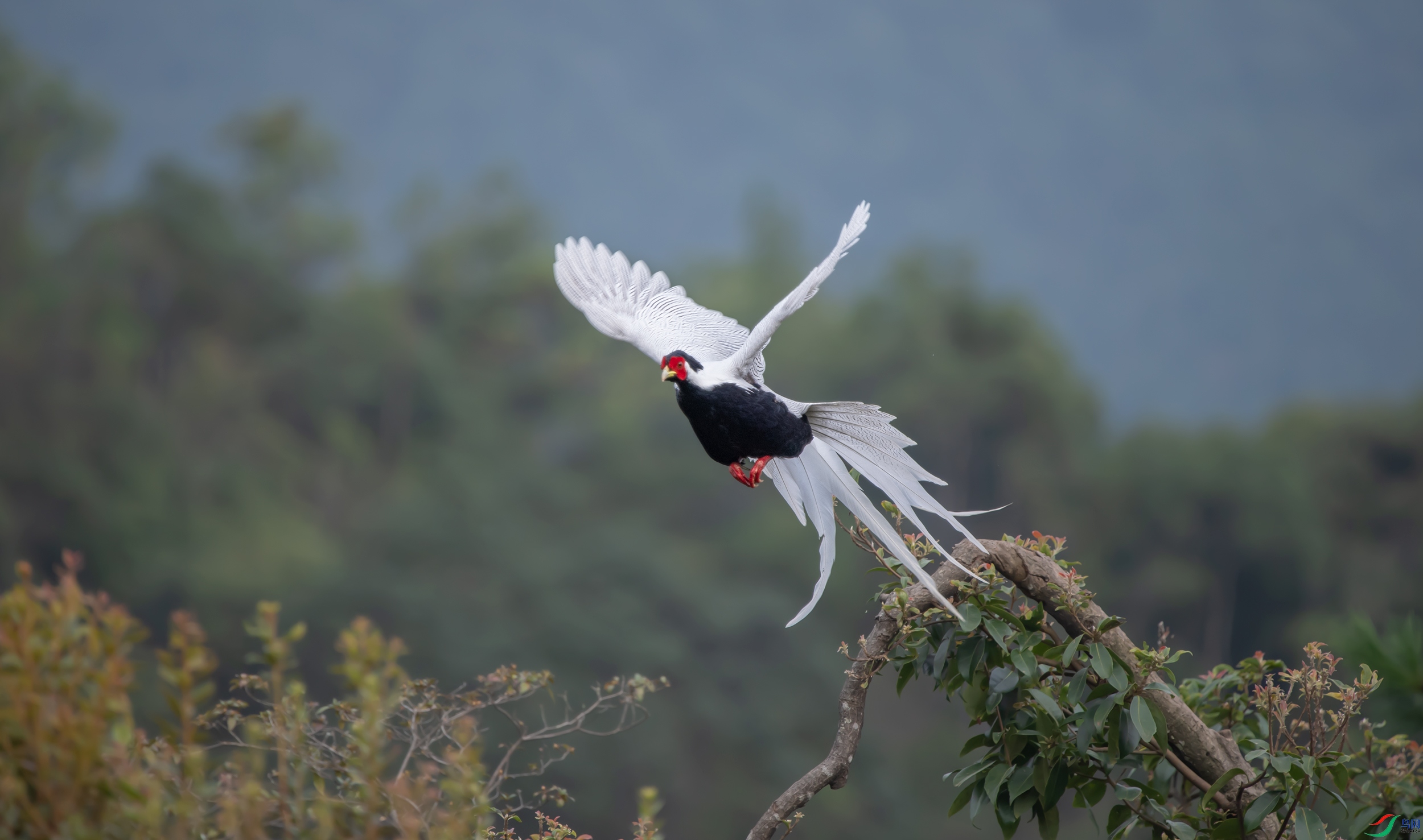 DSC_2647.jpg