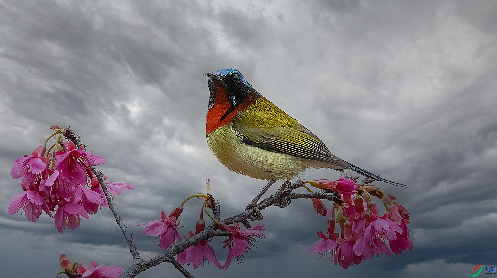 ������Ҫ���ˣ�