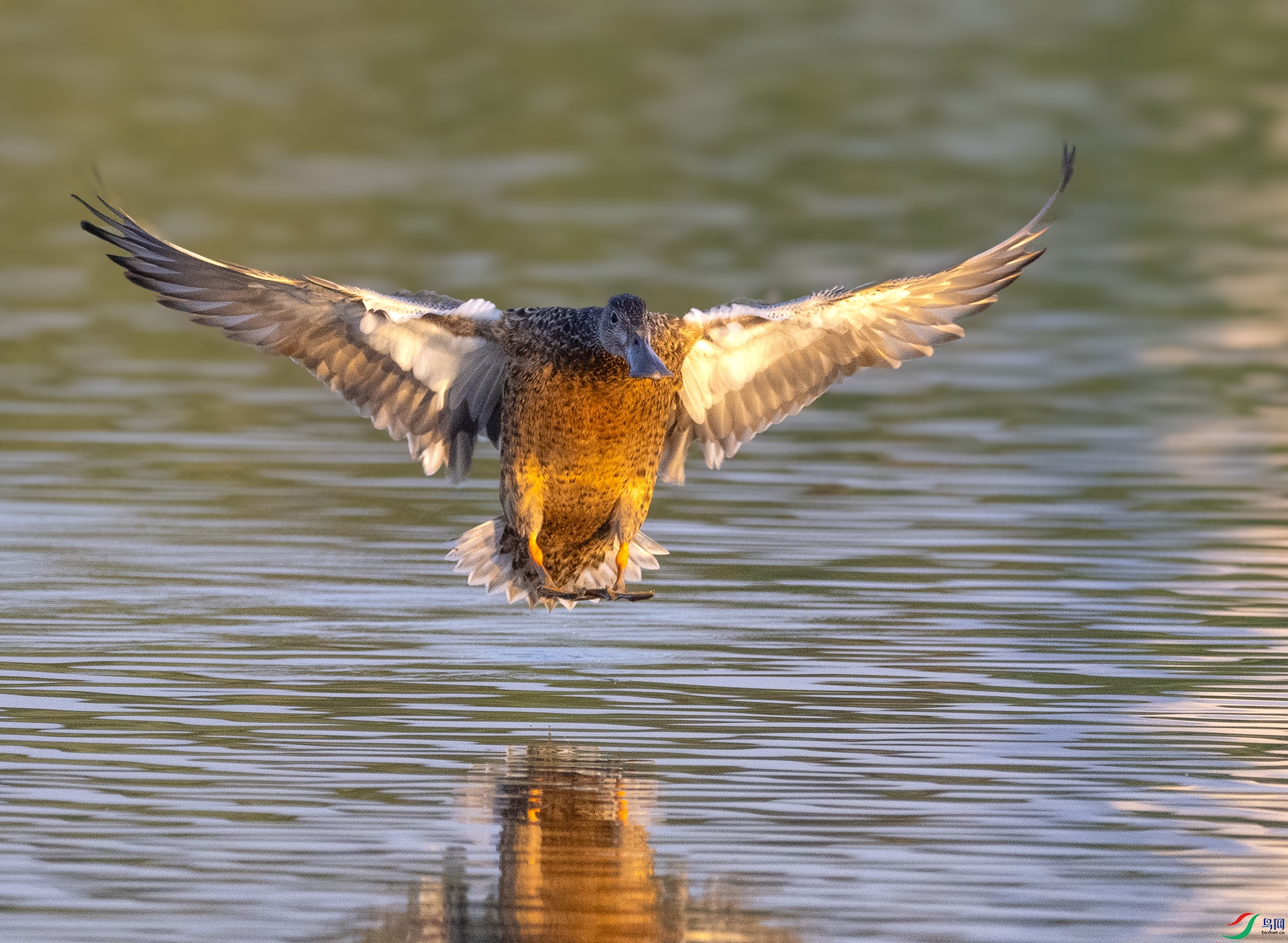 ��DSC_6790 ��ؐ.jpg