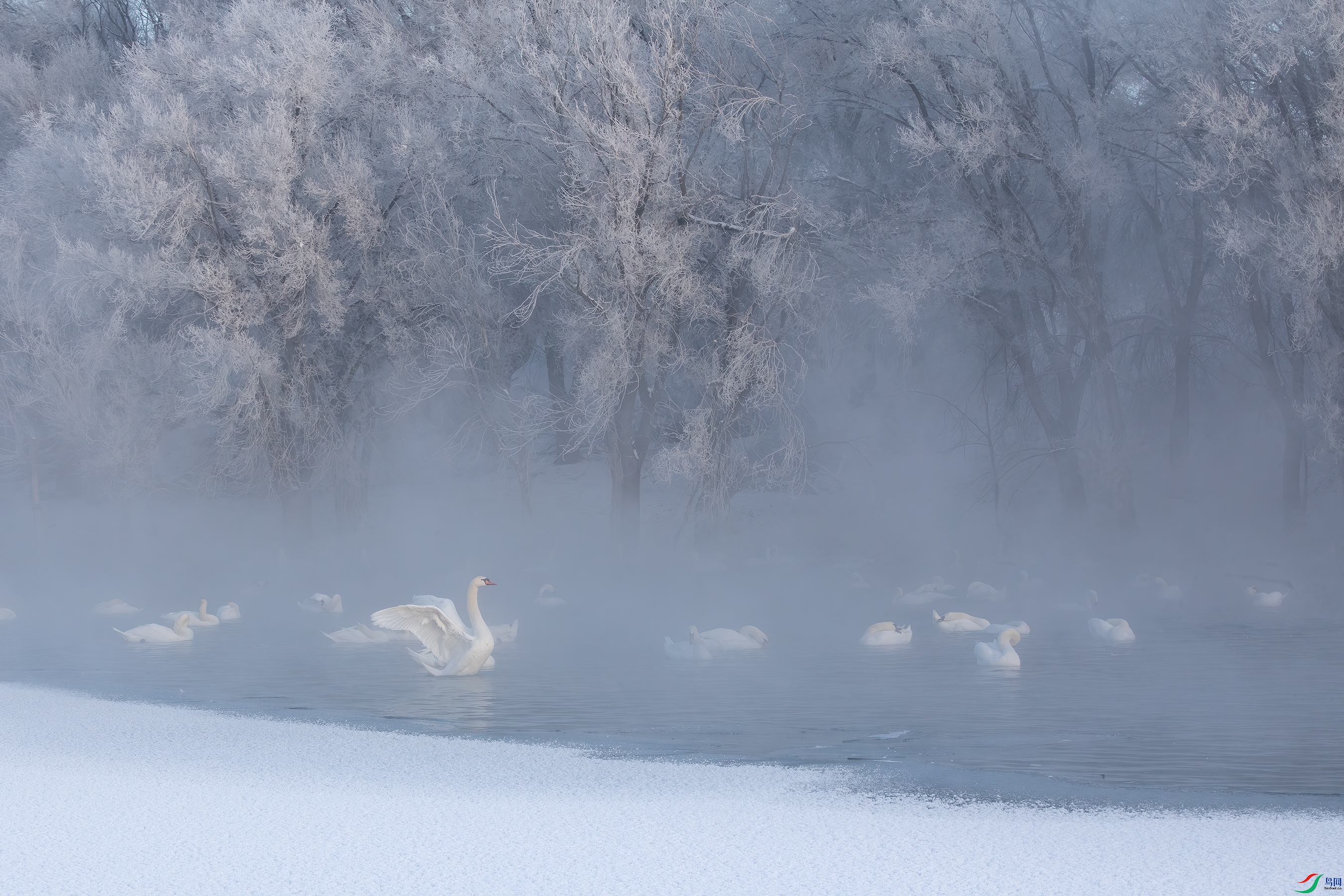 3S5A3393 ����.jpg