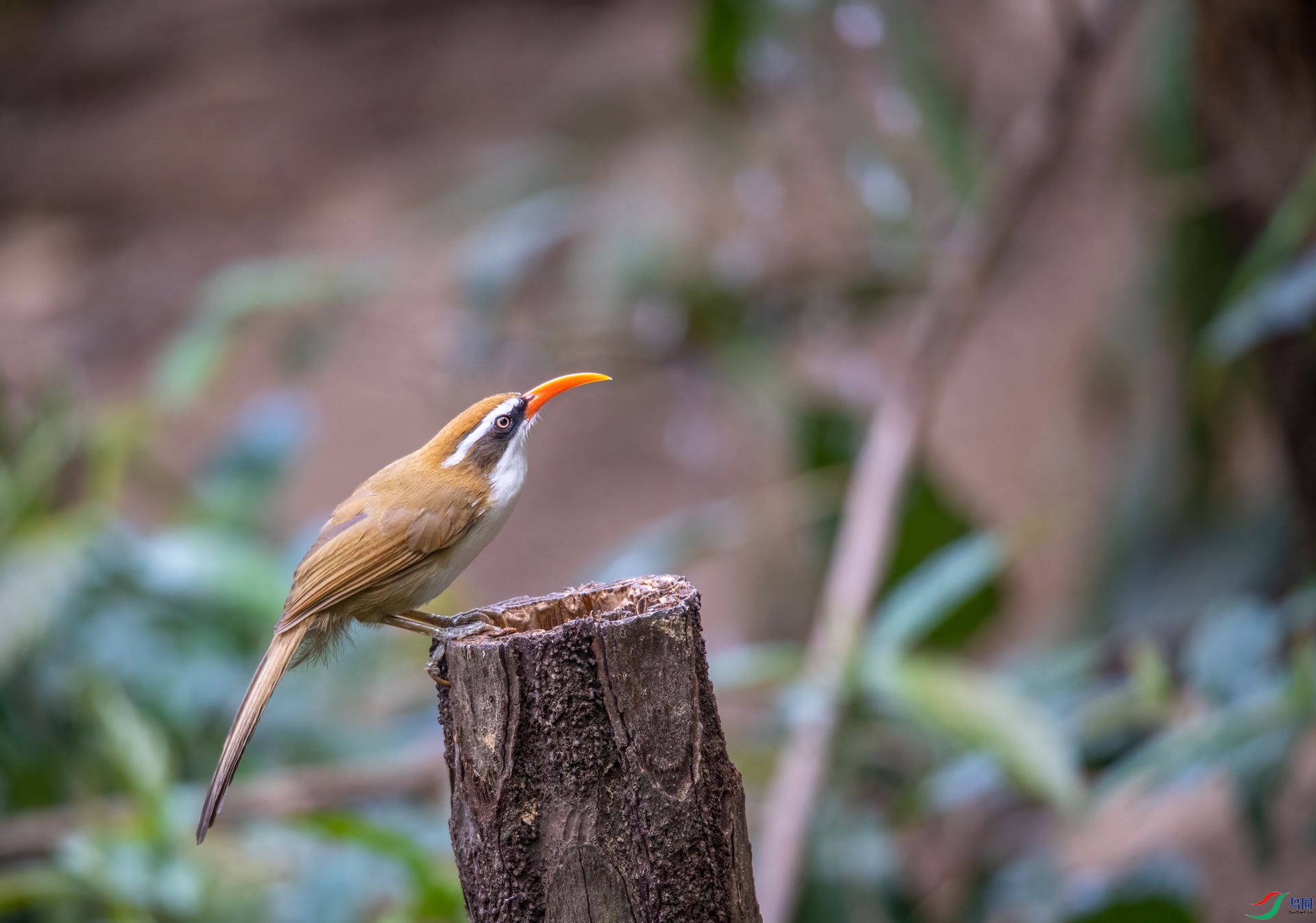 DSC_8182.jpg