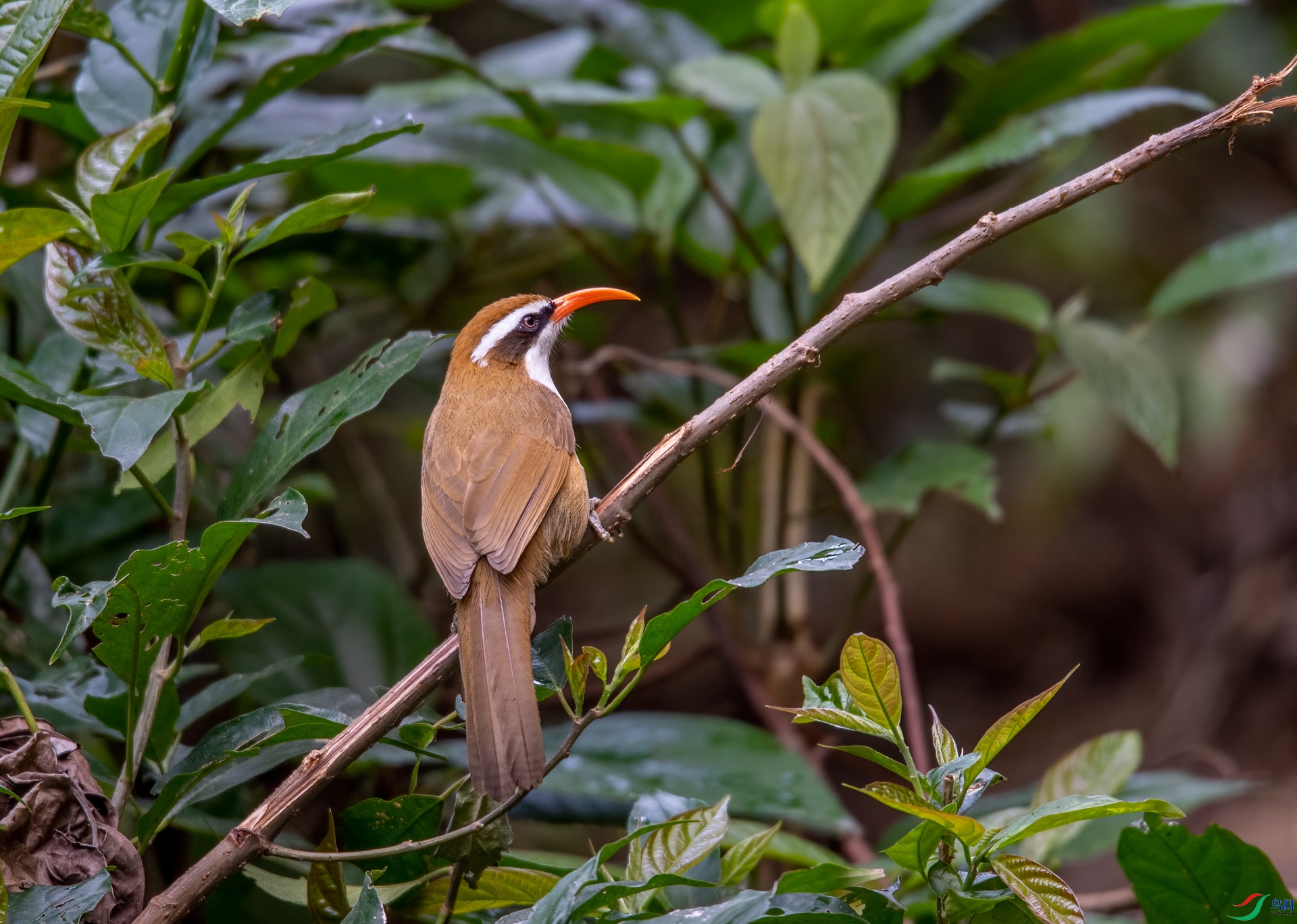 DSC_8174.jpg