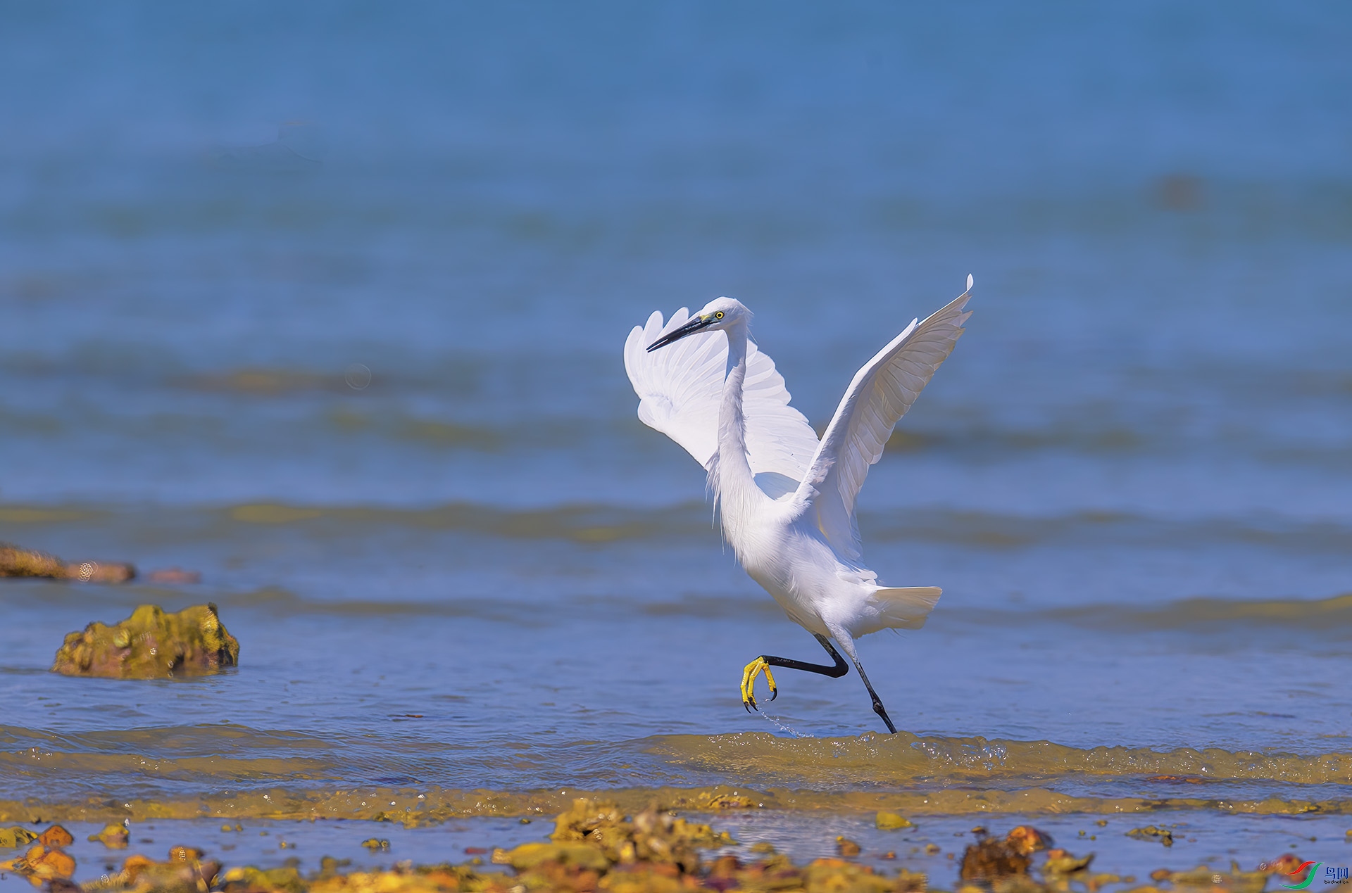 DSC_0941 -1.jpg